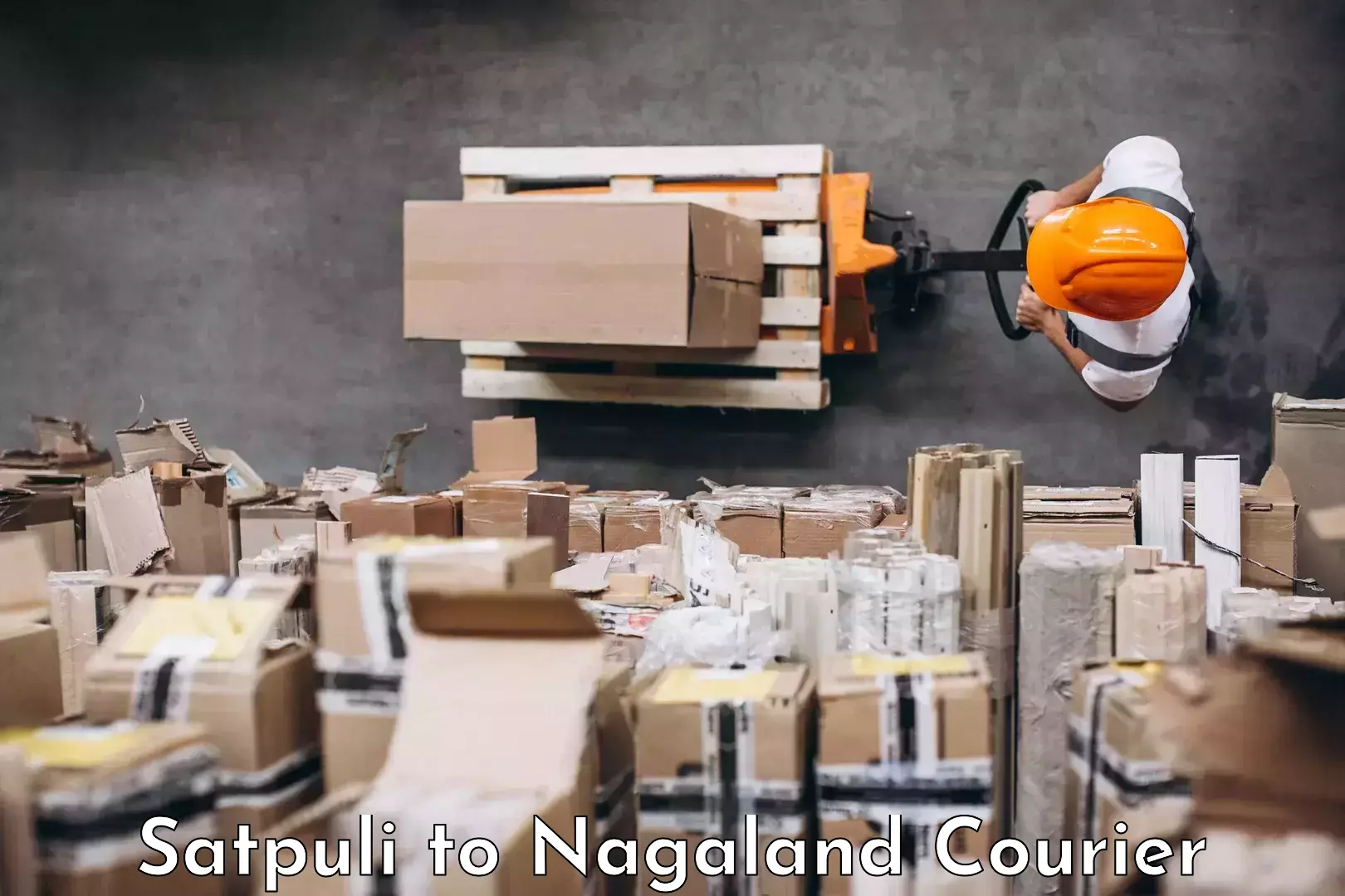 Domestic delivery options Satpuli to NIT Nagaland