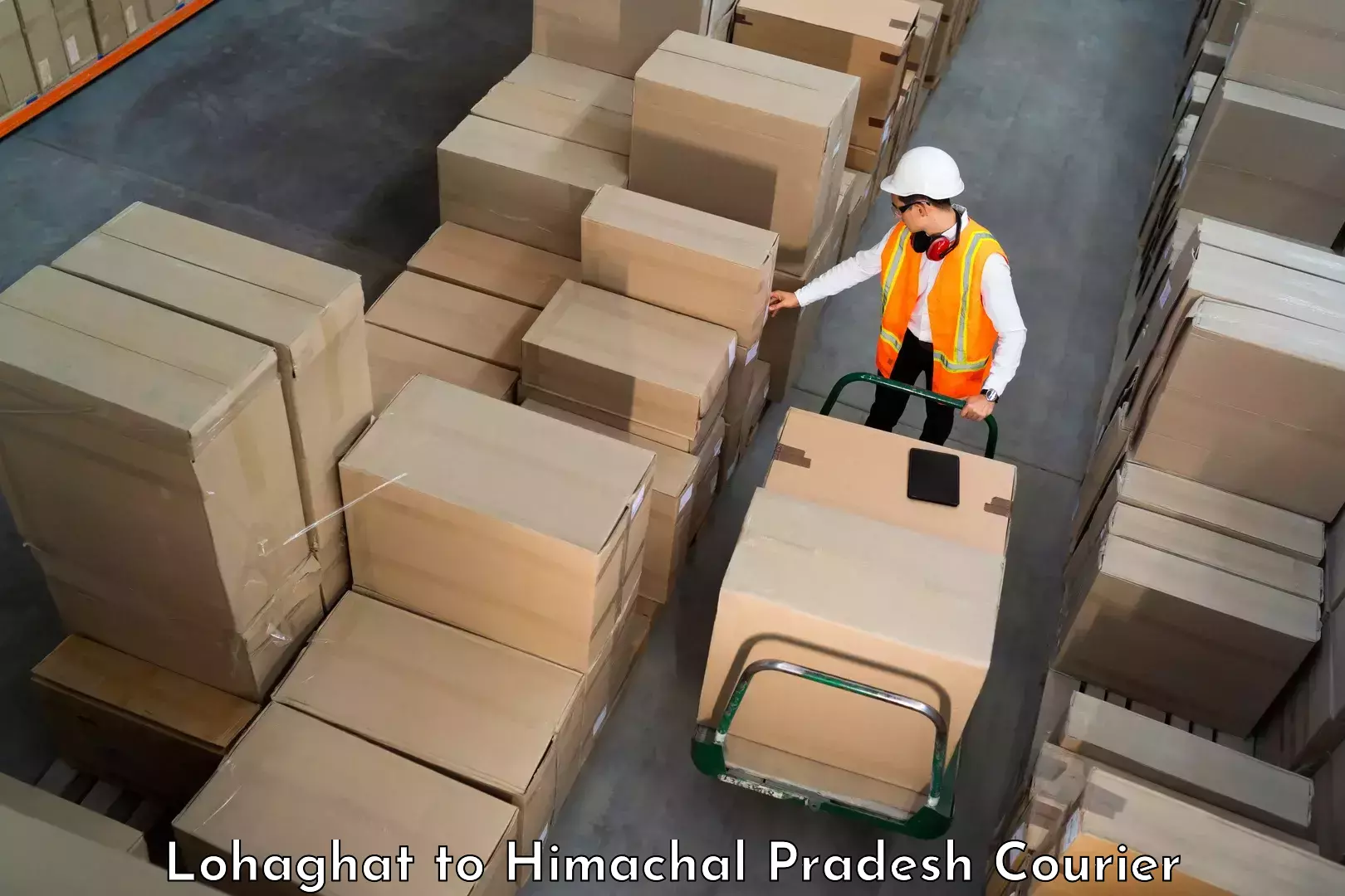 Personalized courier solutions Lohaghat to Amb Una