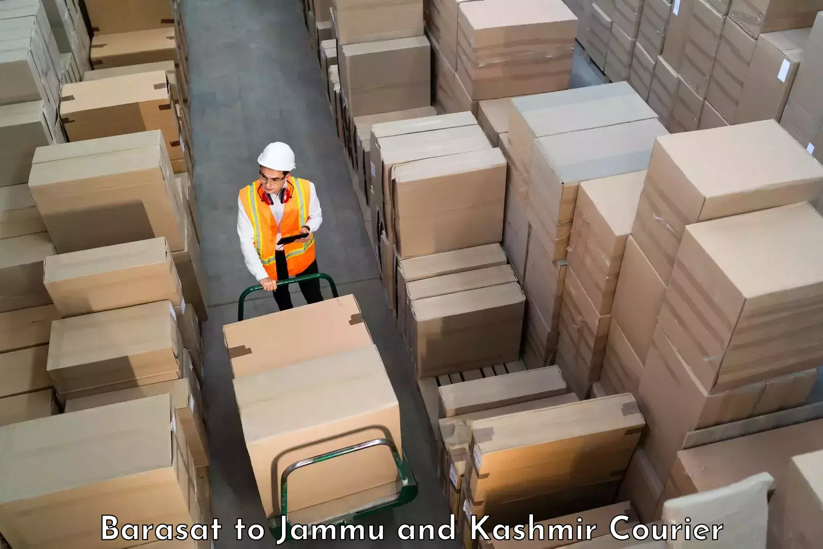 Professional parcel services in Barasat to Chenani