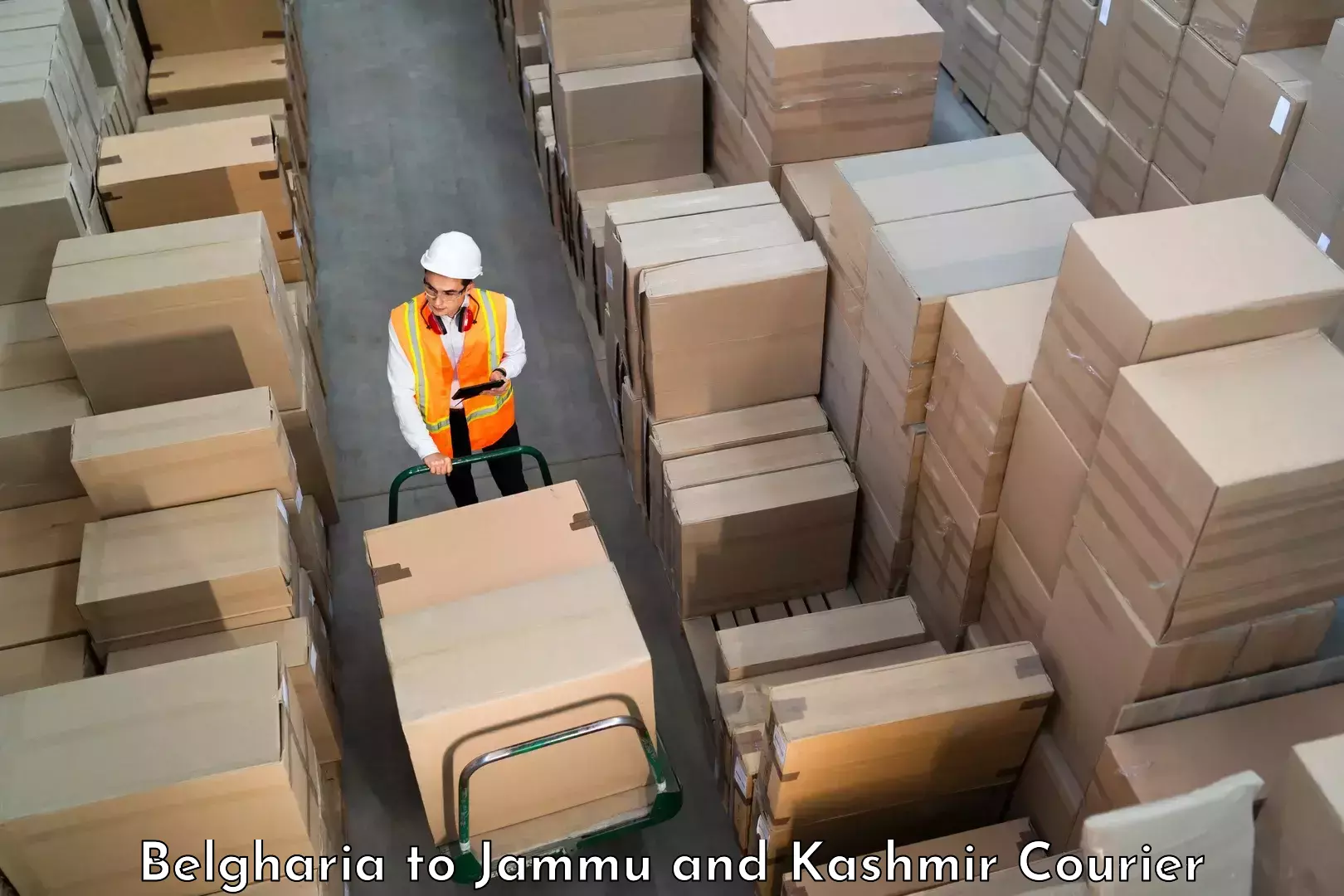 Flexible shipping options Belgharia to Jammu and Kashmir