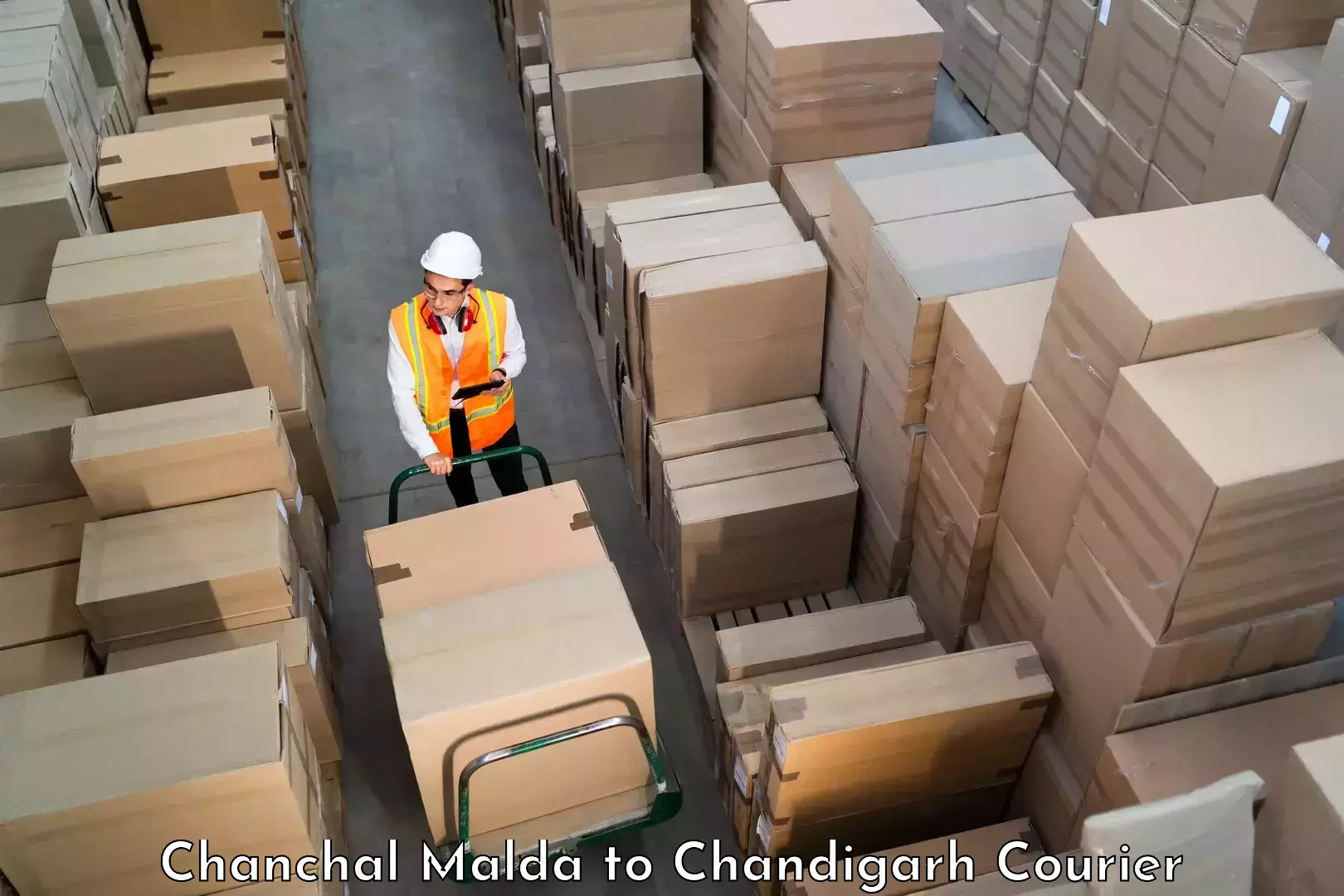 Personalized courier experiences Chanchal Malda to Panjab University Chandigarh