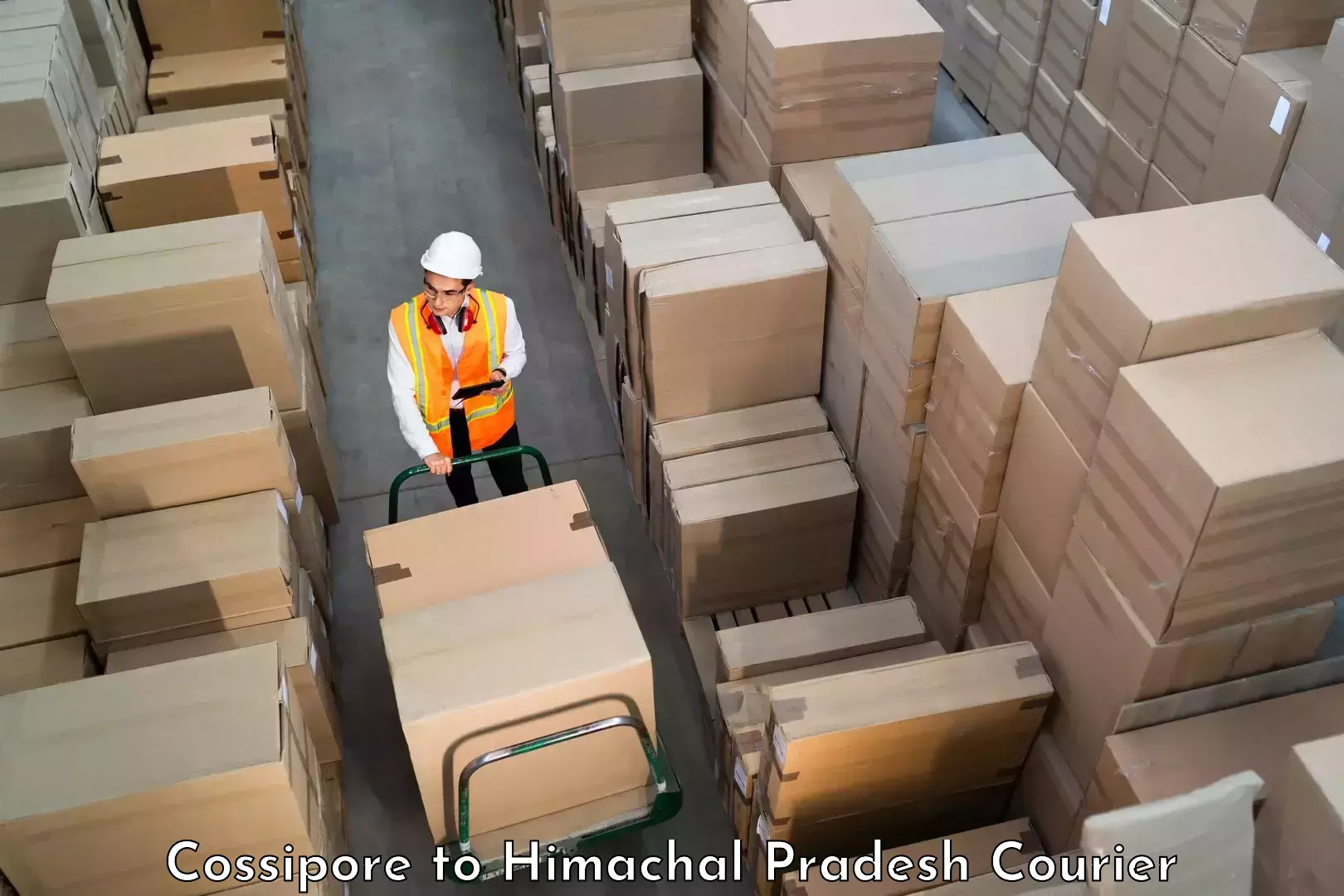 International shipping rates Cossipore to Himachal Pradesh