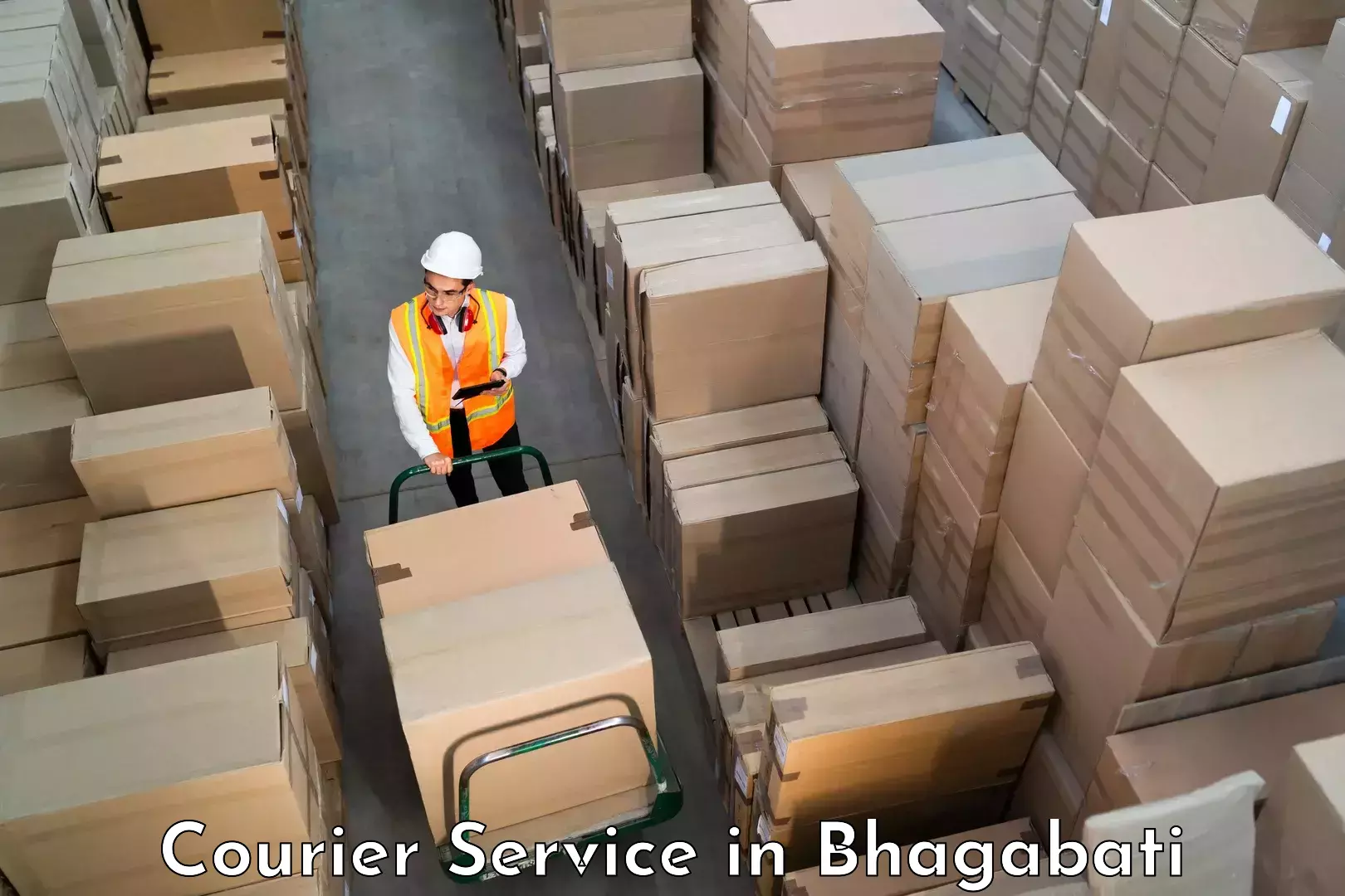 Corporate courier solutions in Bhagabati