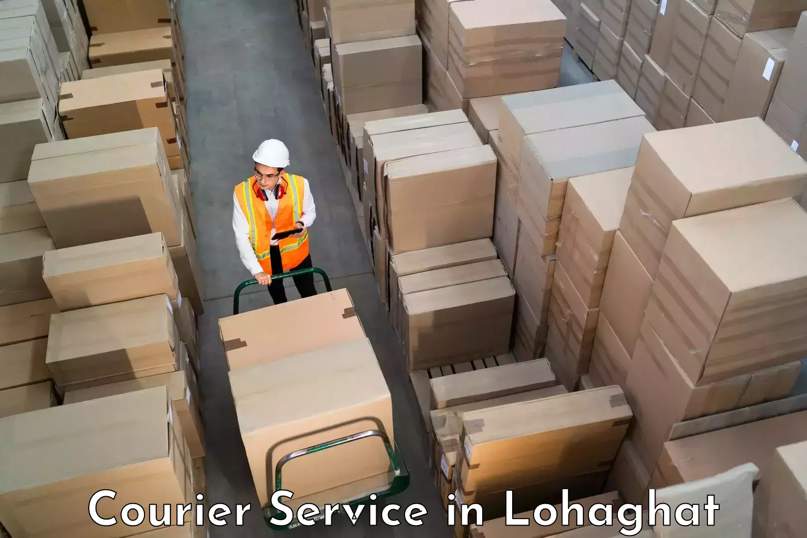 Logistics efficiency in Lohaghat