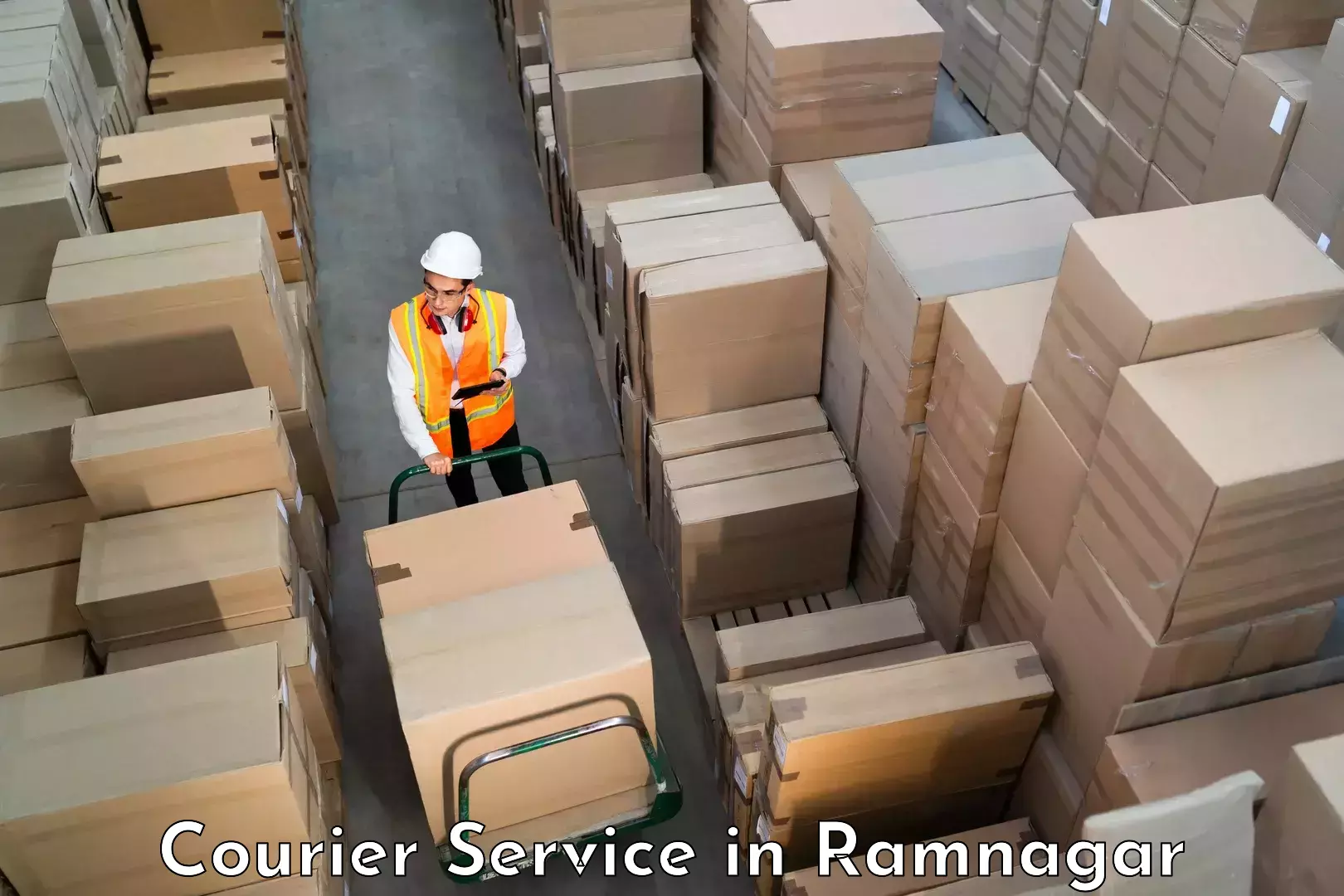 Advanced package delivery in Ramnagar