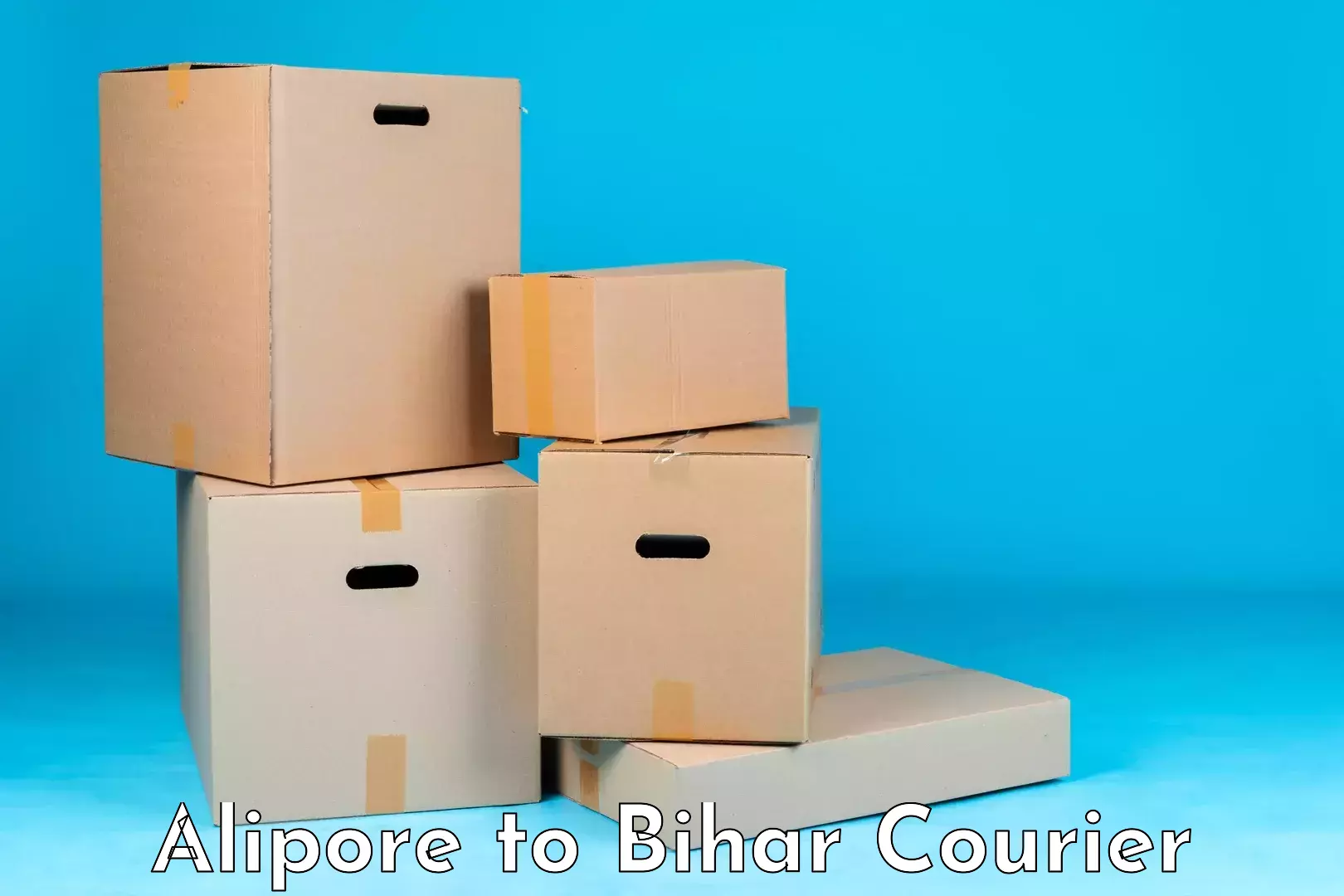 Custom courier packages Alipore to Ramnagar Champaran