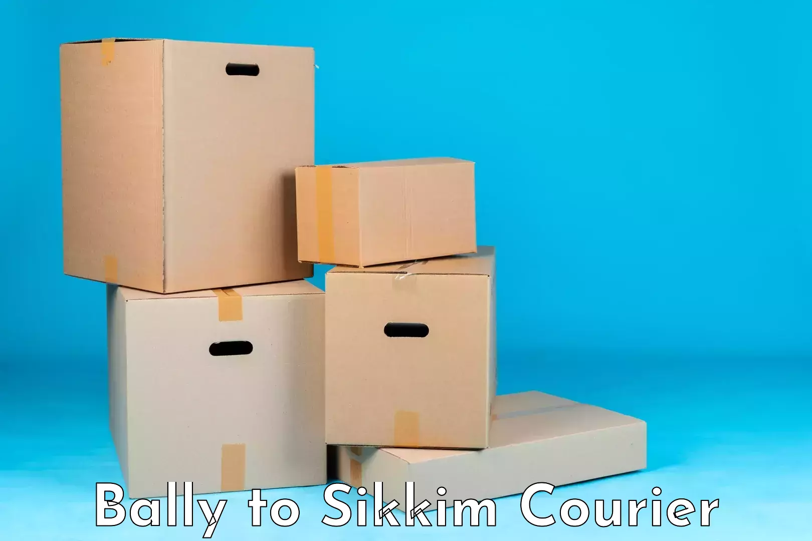 Online courier booking in Bally to West Sikkim