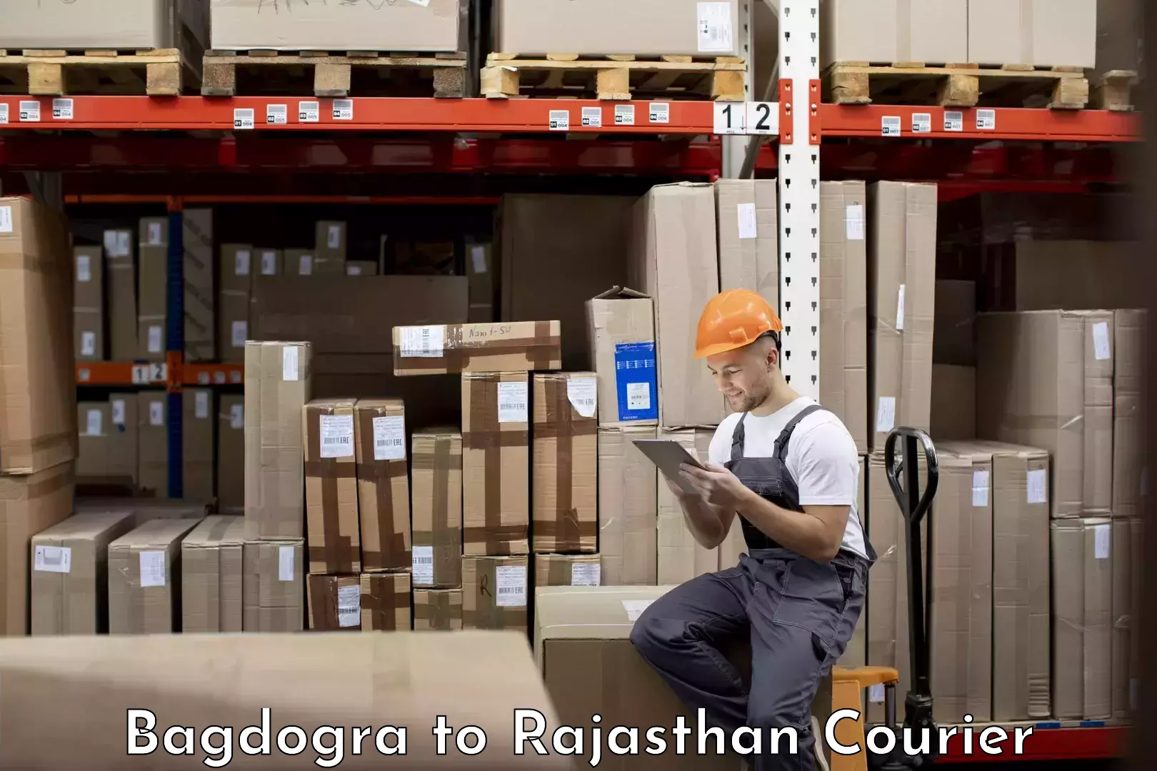 Efficient cargo handling in Bagdogra to Rajasthan