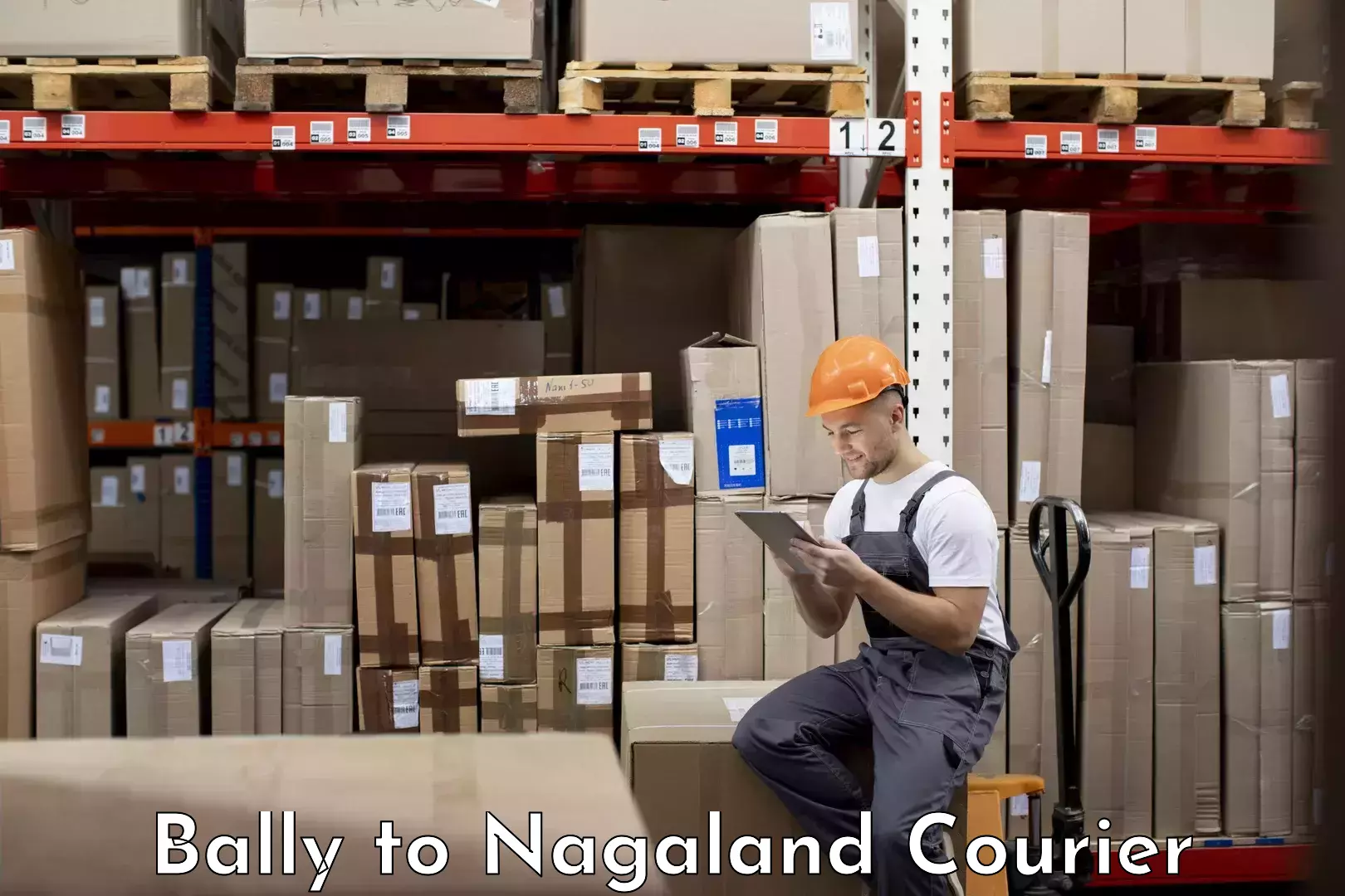 Specialized courier services Bally to Nagaland