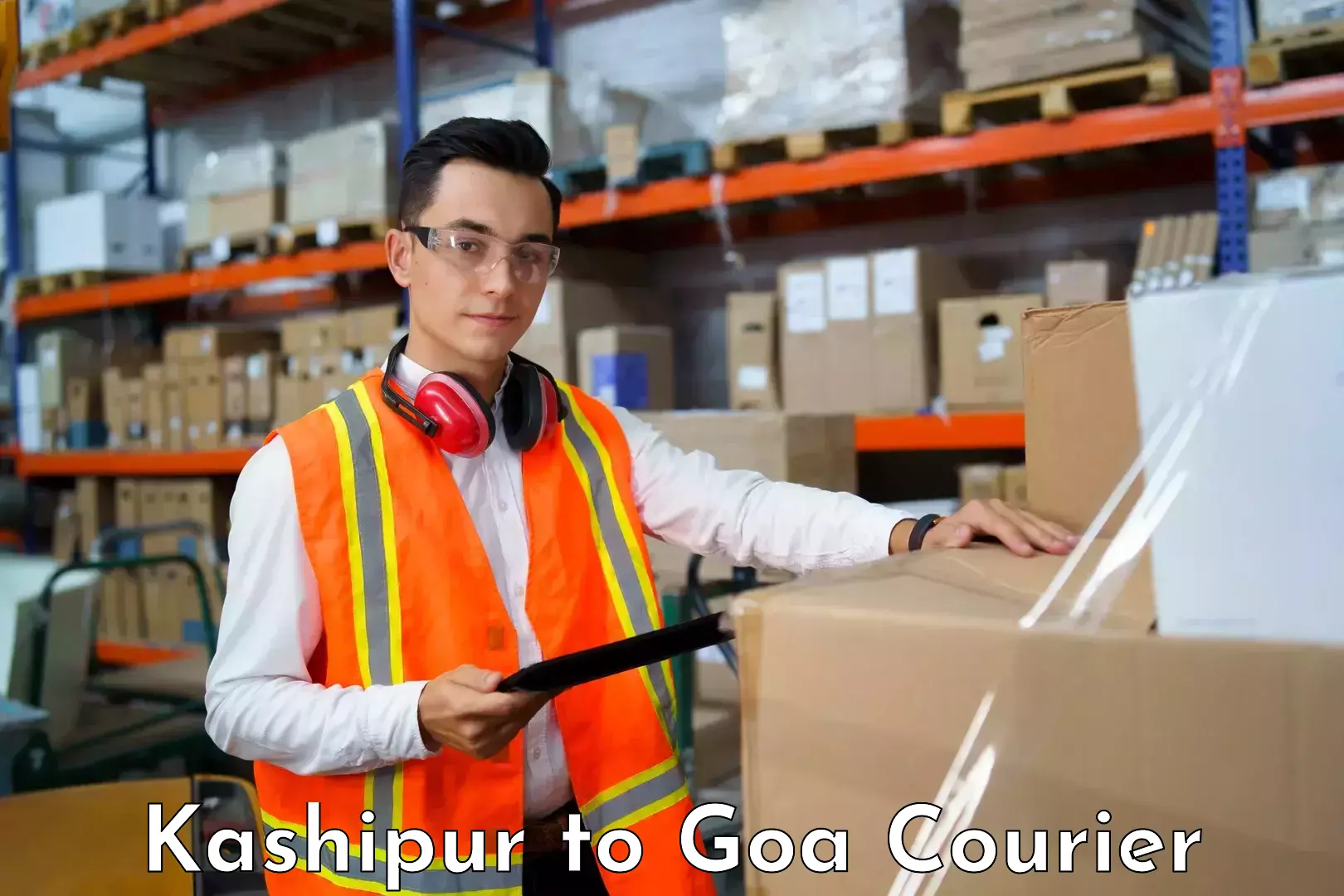 Cost-effective courier solutions Kashipur to Vasco da Gama