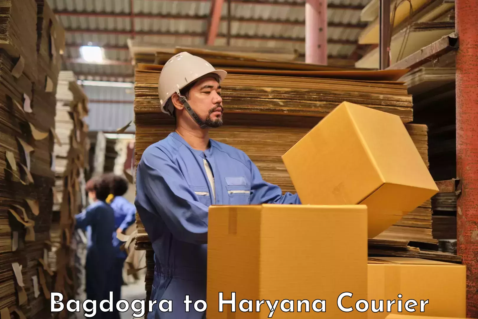 Simplified shipping solutions Bagdogra to Haryana