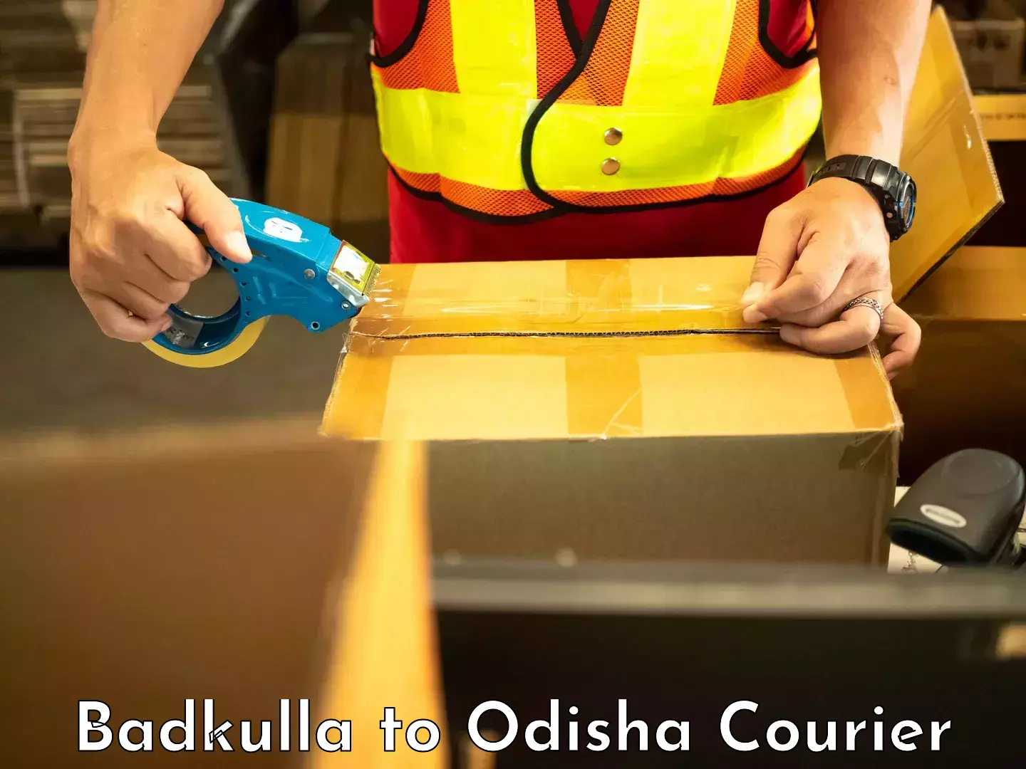 Courier service innovation Badkulla to Baliapal