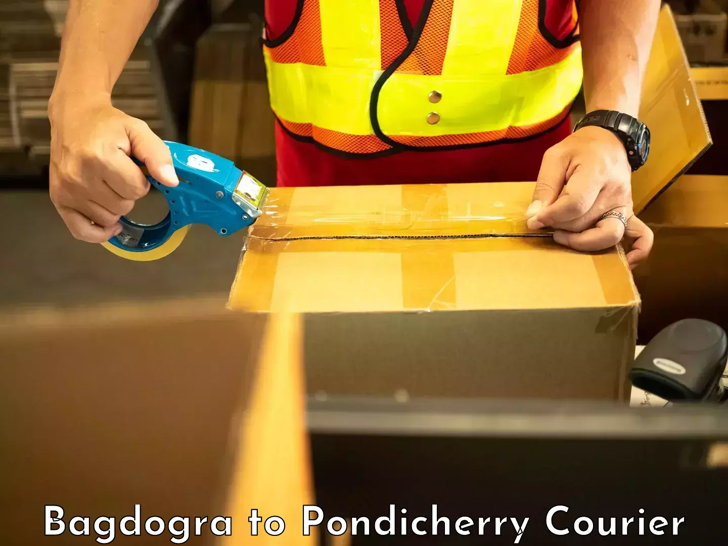 Sustainable courier practices Bagdogra to Pondicherry