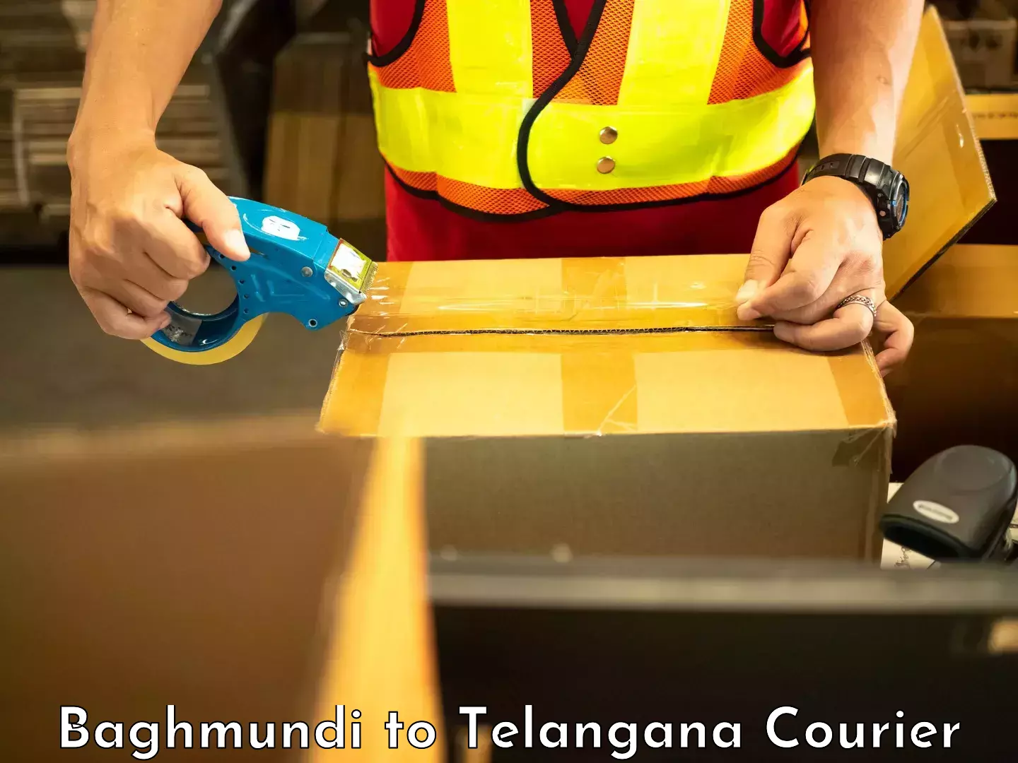 Long distance courier Baghmundi to Telangana