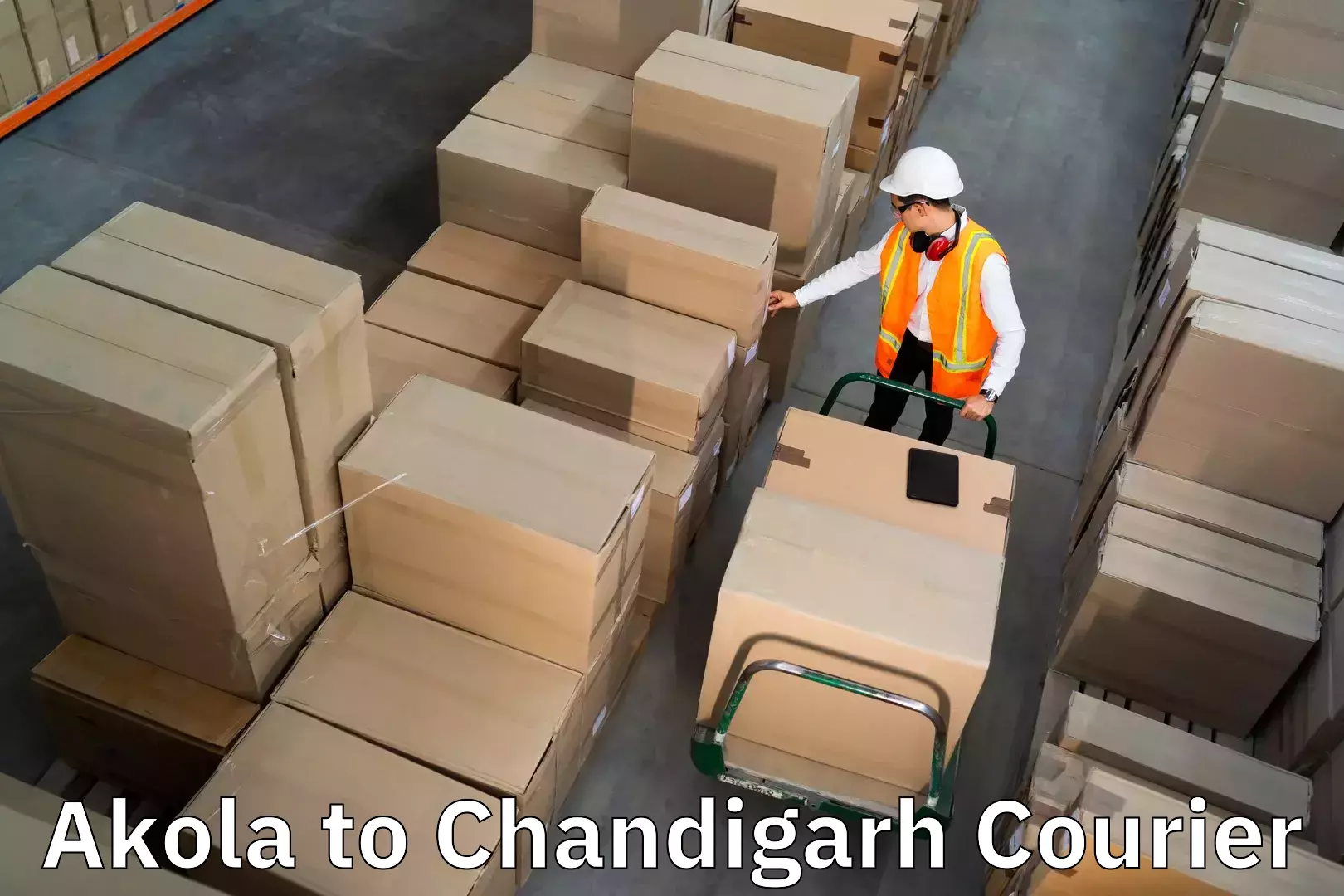 Residential furniture movers Akola to Chandigarh