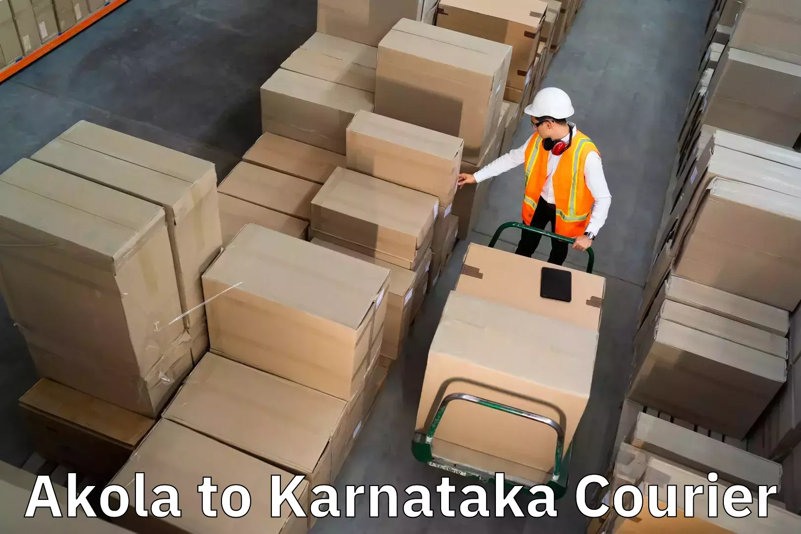 Professional movers Akola to Toranagallu