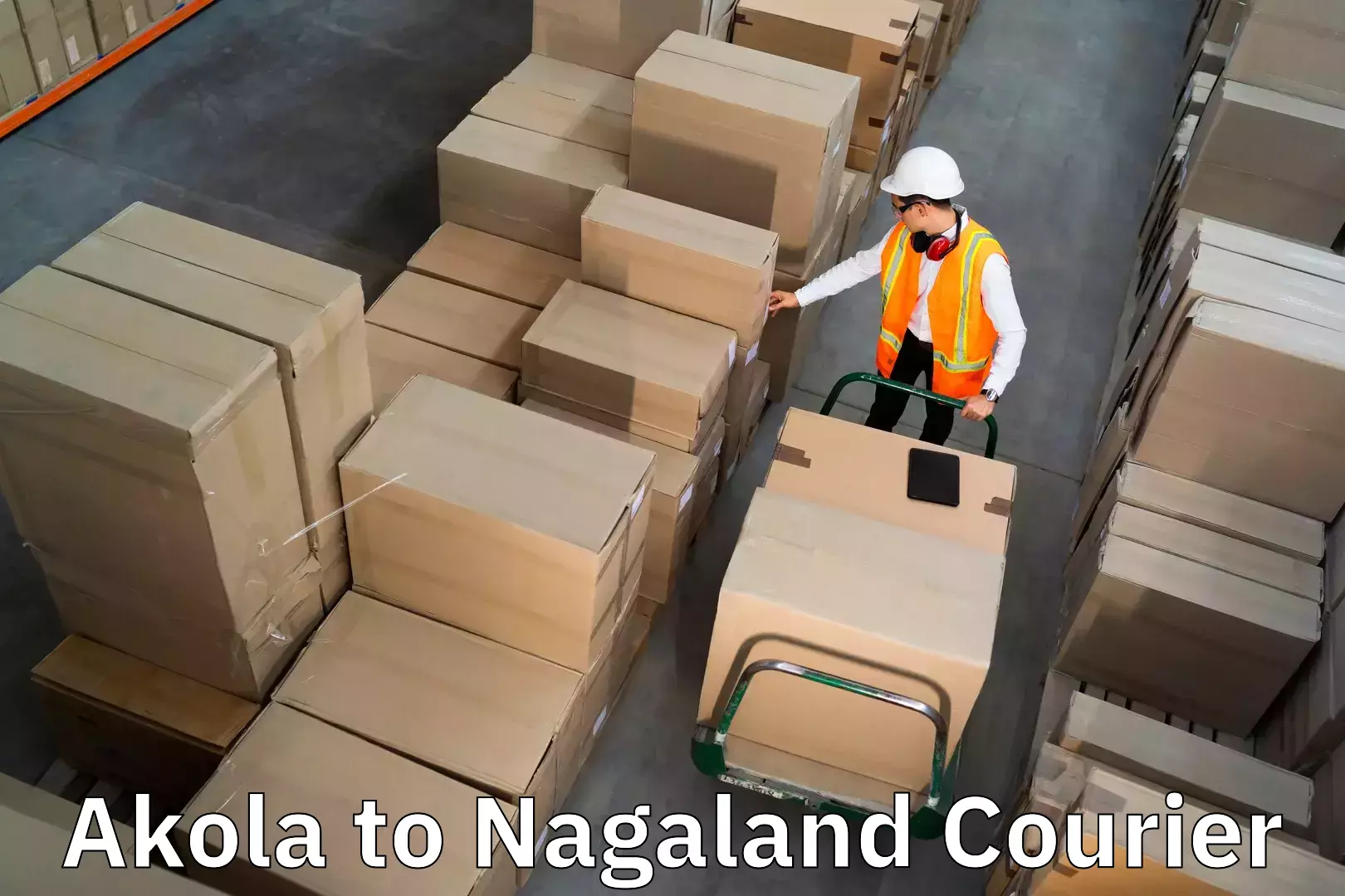 Efficient home goods movers Akola to Nagaland