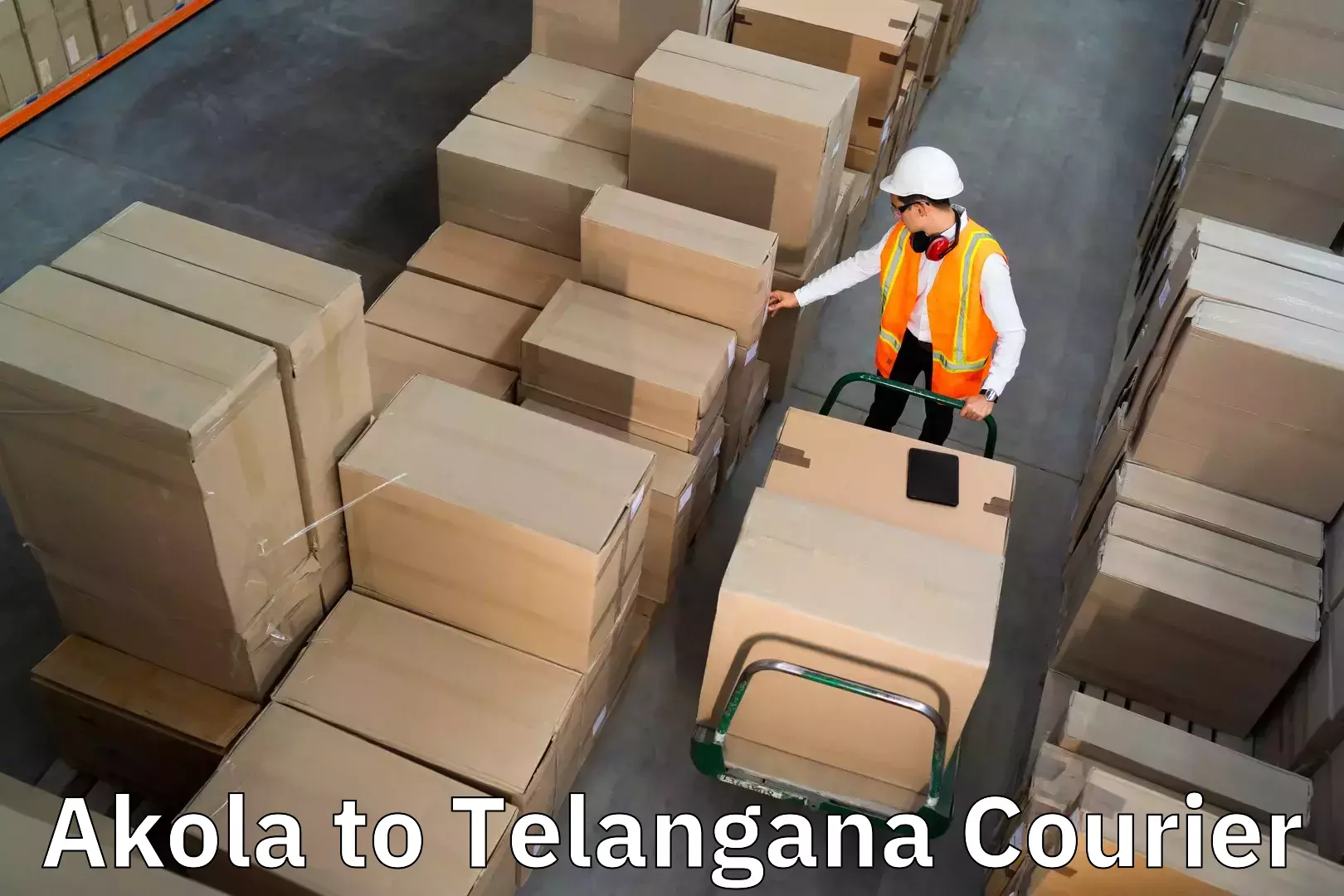 Furniture delivery service Akola to Ramagundam