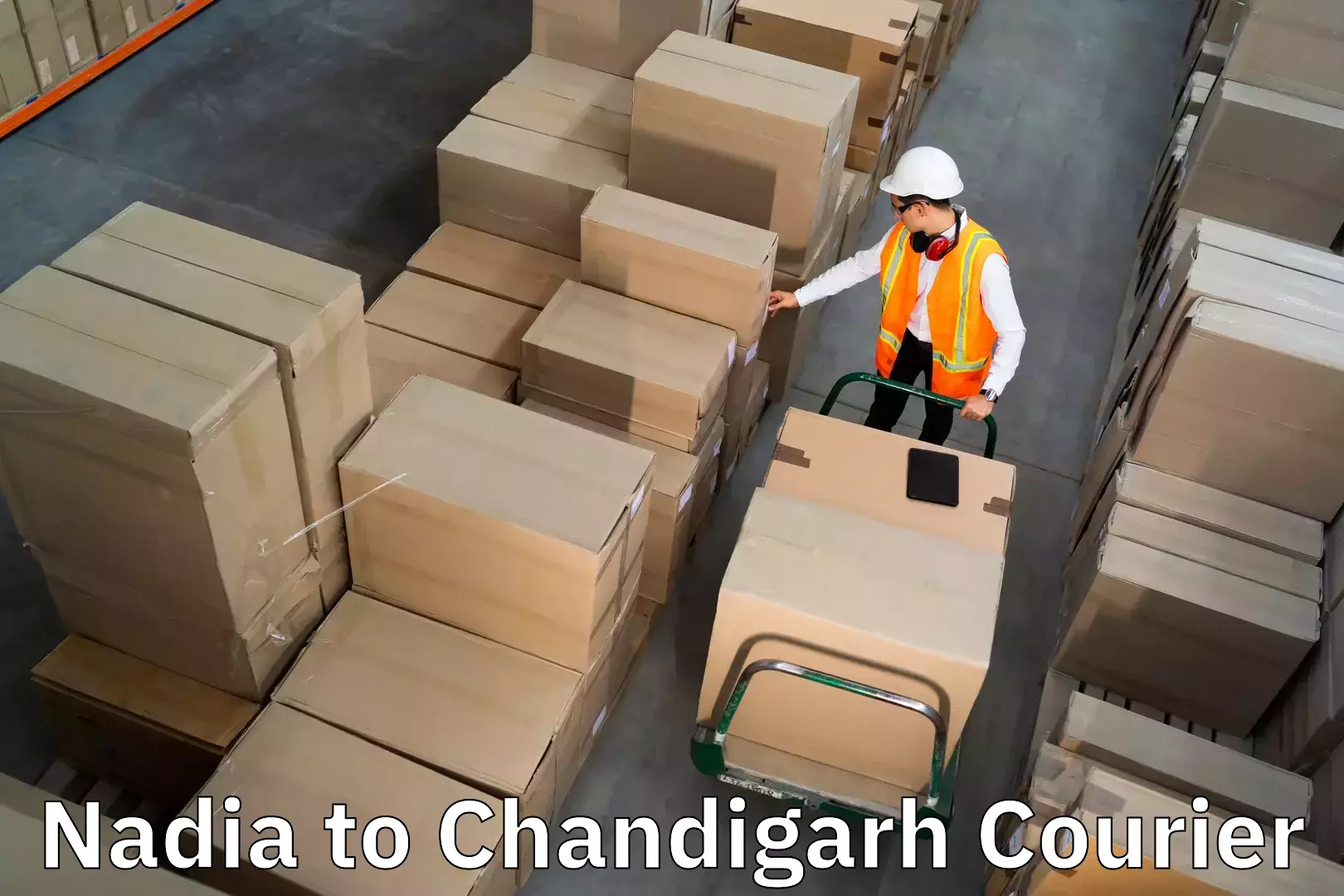 Residential moving experts Nadia to Chandigarh