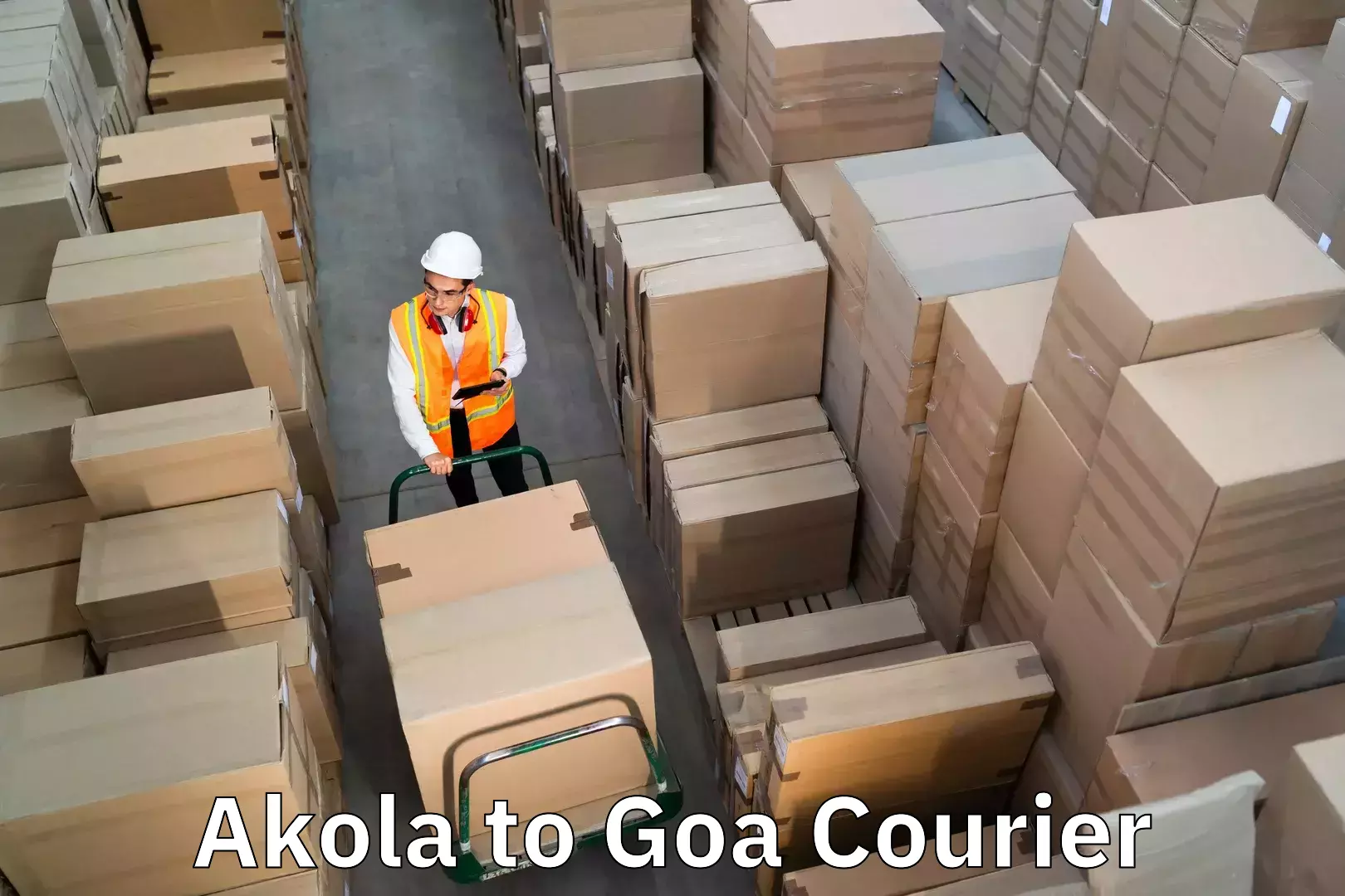 Affordable moving services Akola to Canacona