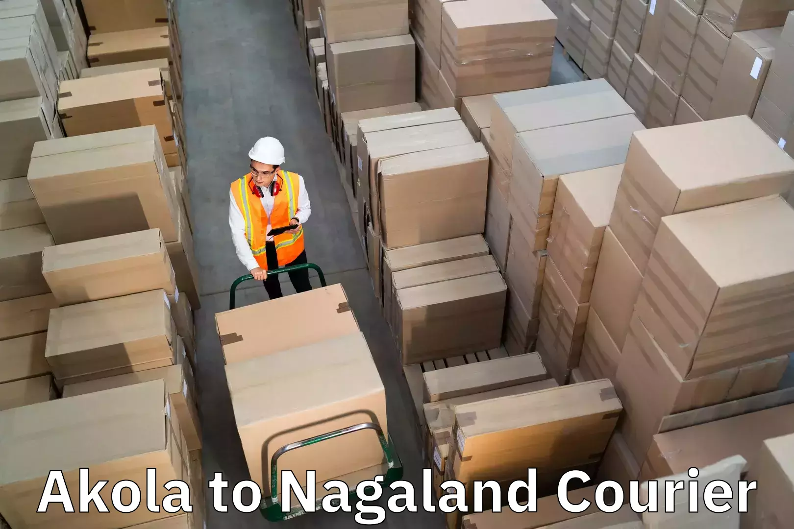 Furniture moving assistance Akola to Nagaland