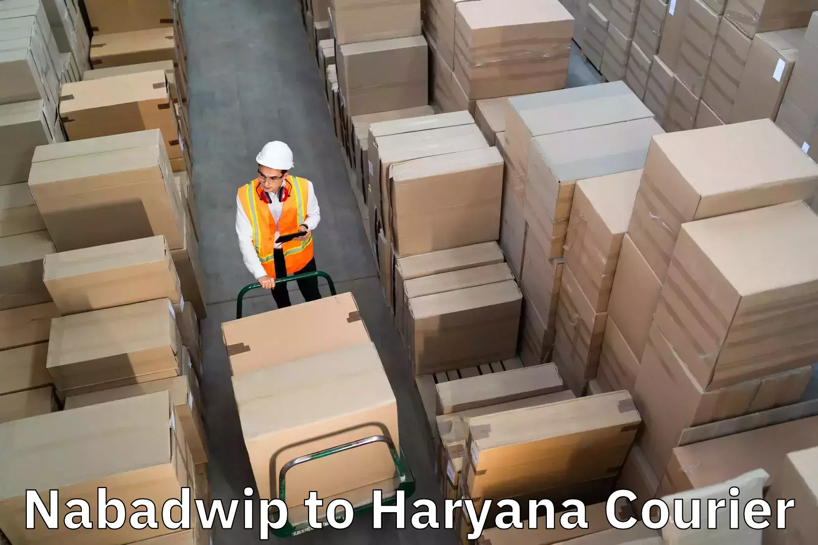 Moving and handling services Nabadwip to Pehowa