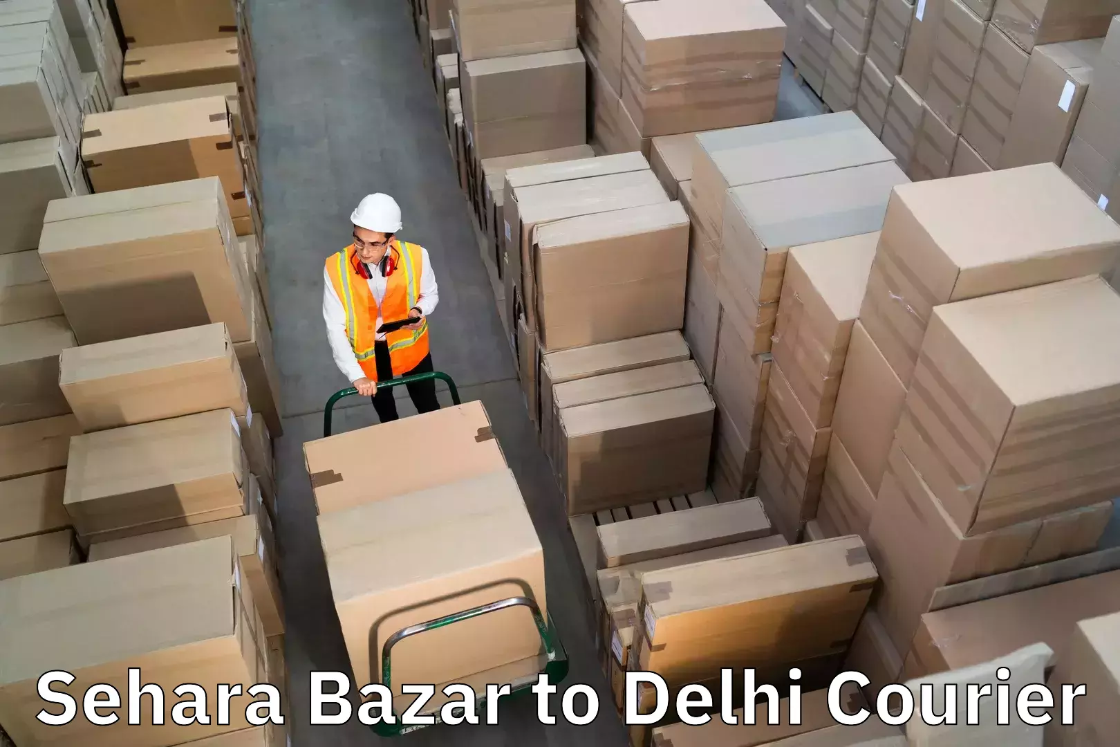 Trusted home movers in Sehara Bazar to East Delhi