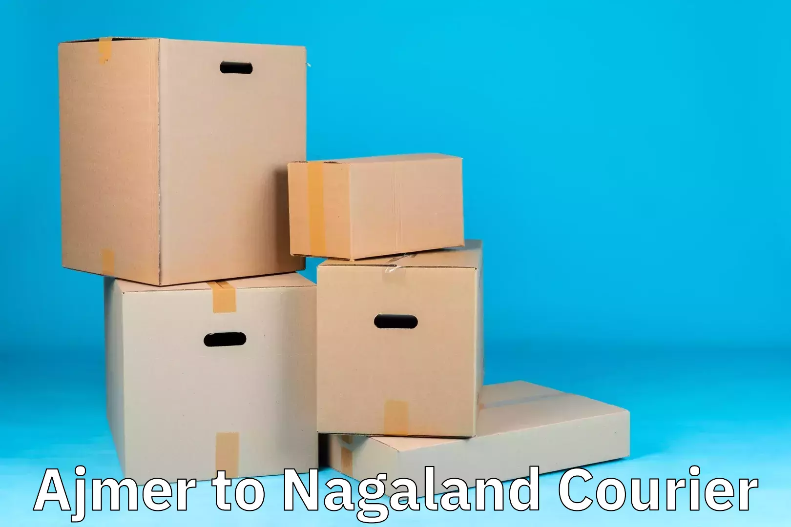 Efficient home relocation Ajmer to NIT Nagaland