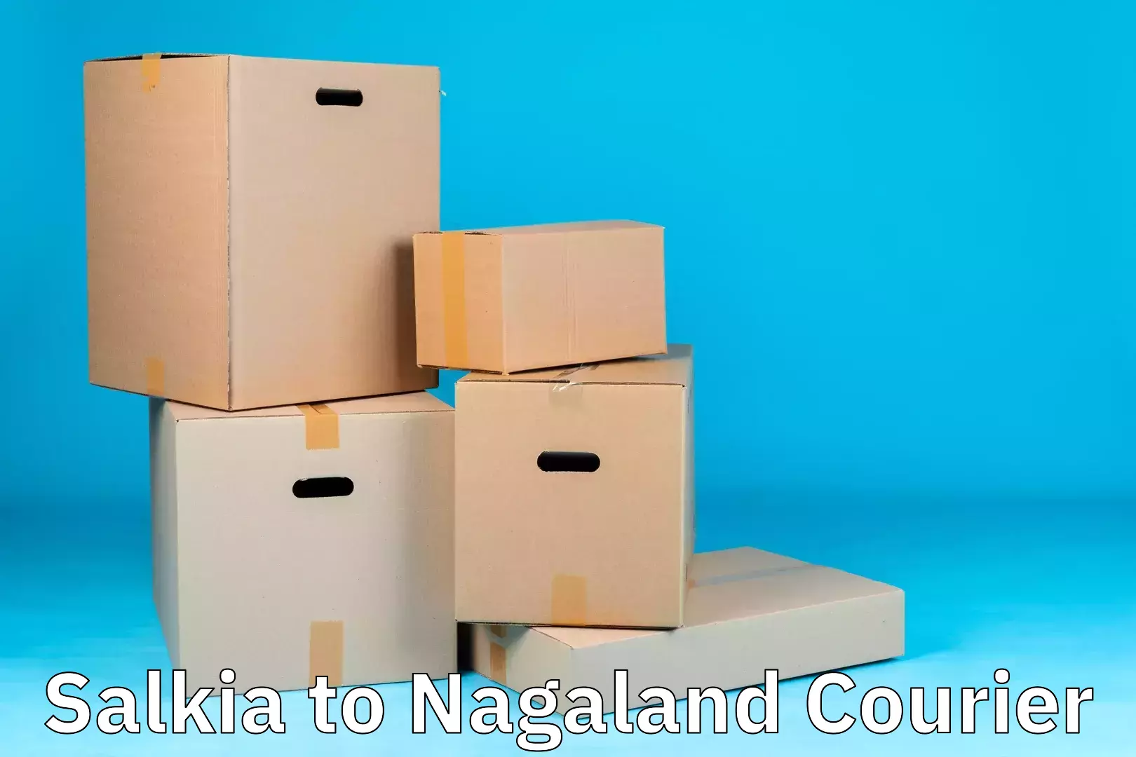 Expert household transport Salkia to NIT Nagaland