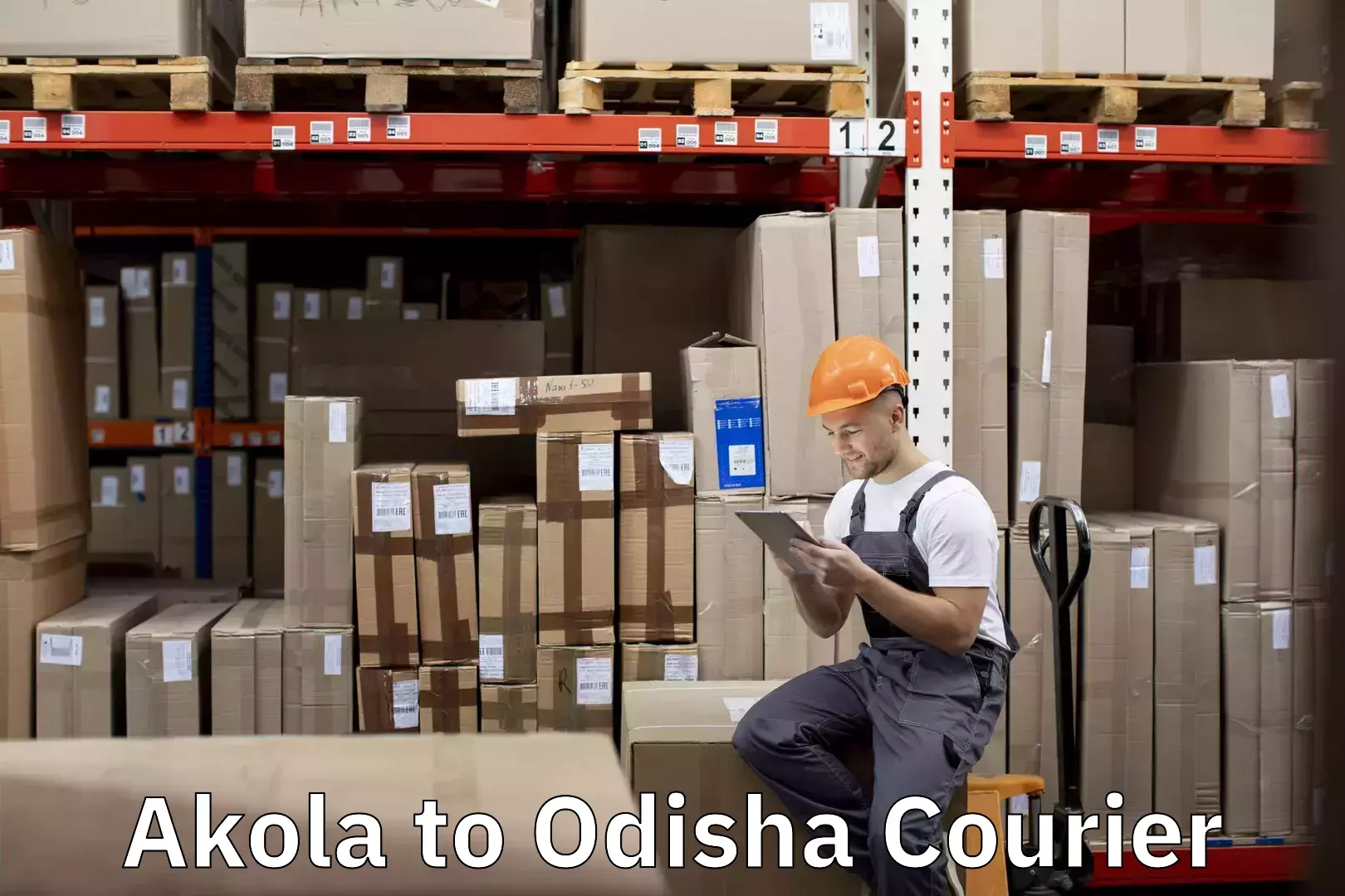 Online household goods transport Akola to Odisha