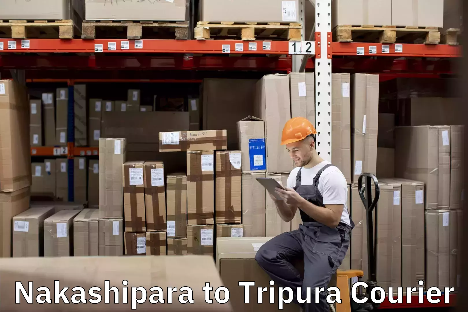 Expert moving and storage Nakashipara to North Tripura