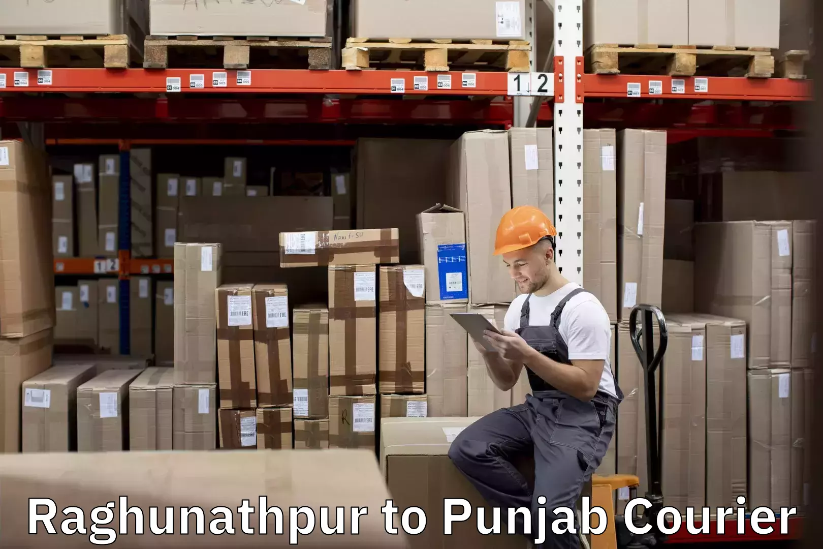 Efficient furniture relocation Raghunathpur to Patran