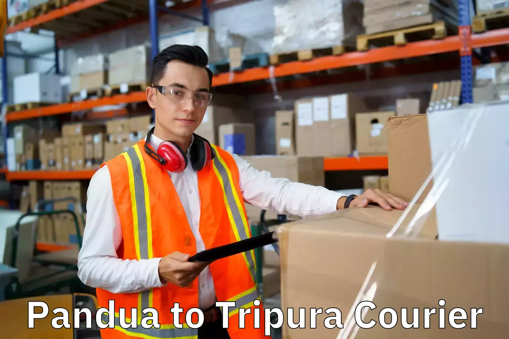 Expert goods movers Pandua to Teliamura