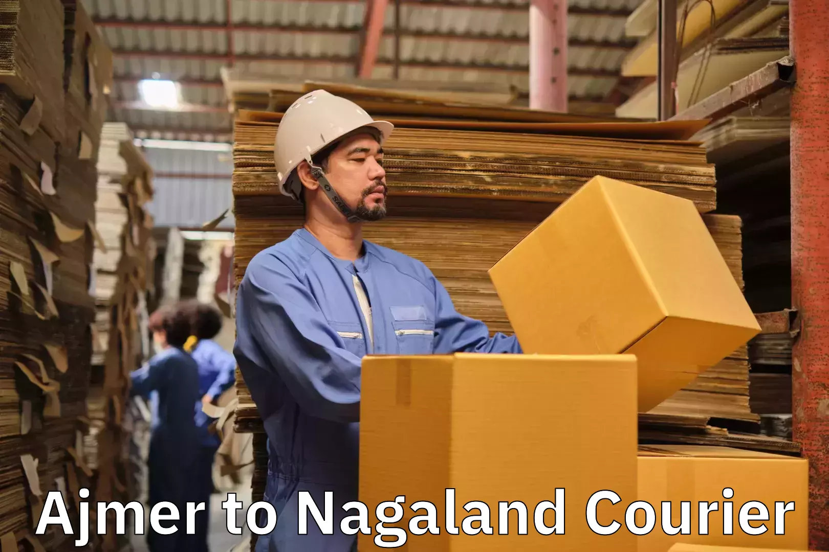 Household goods delivery Ajmer to Nagaland