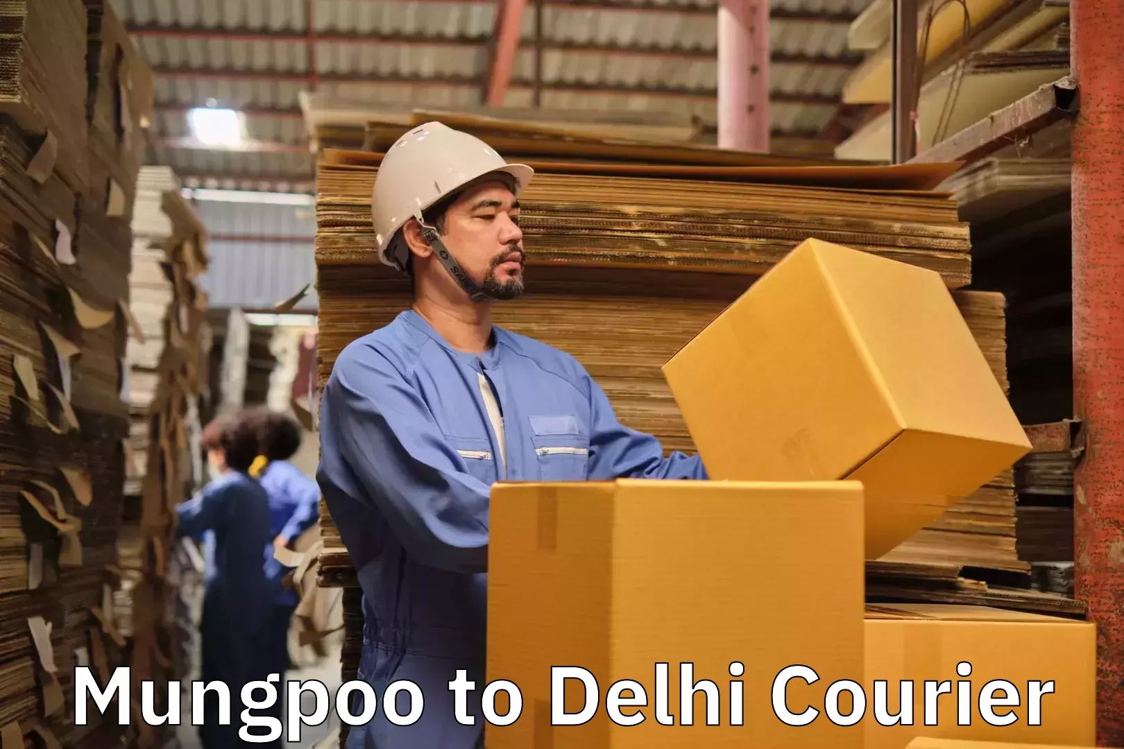 Quick relocation services Mungpoo to Delhi Technological University DTU