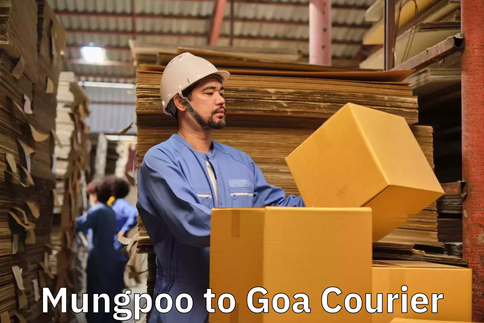 Household moving strategies Mungpoo to South Goa