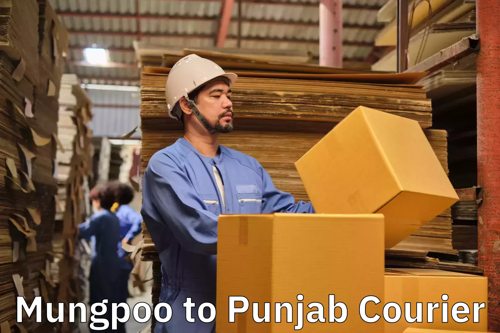 Customized moving solutions Mungpoo to Punjab