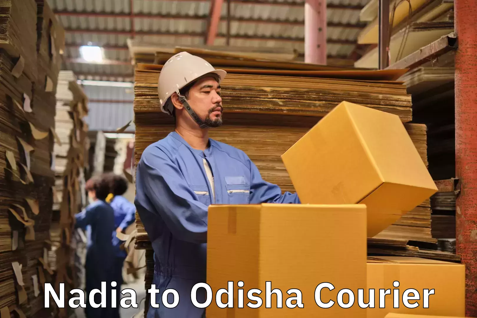 Efficient relocation services in Nadia to Odisha