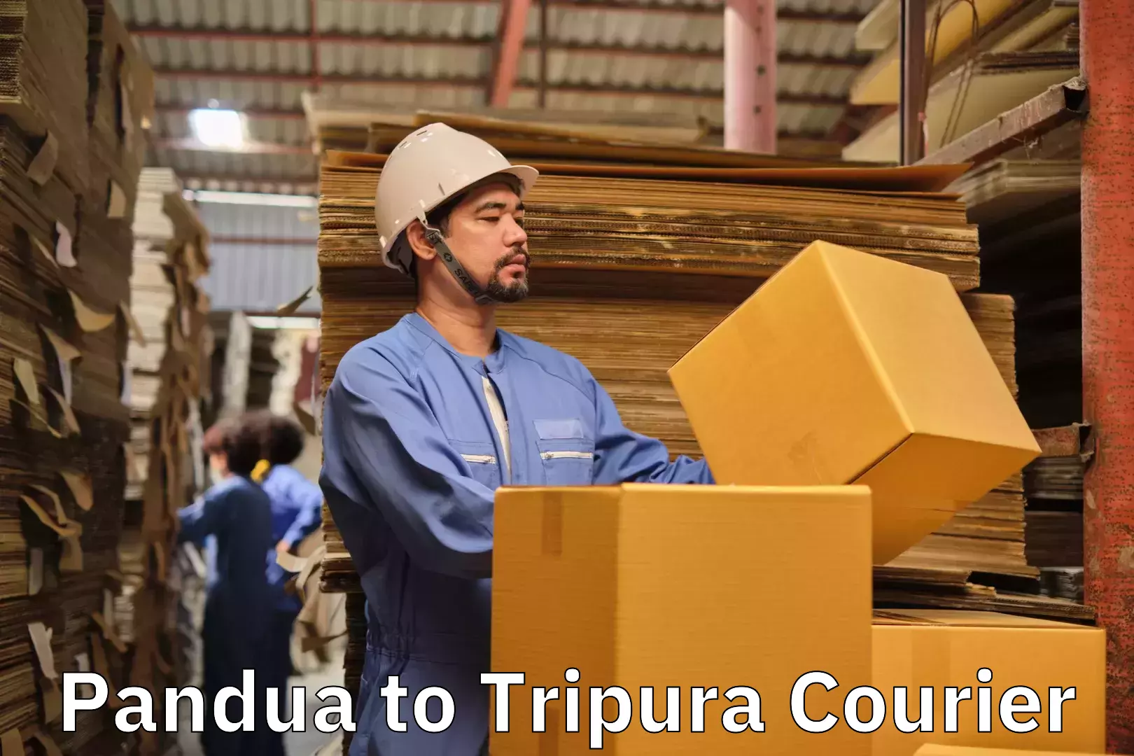 Affordable home movers Pandua to Tripura