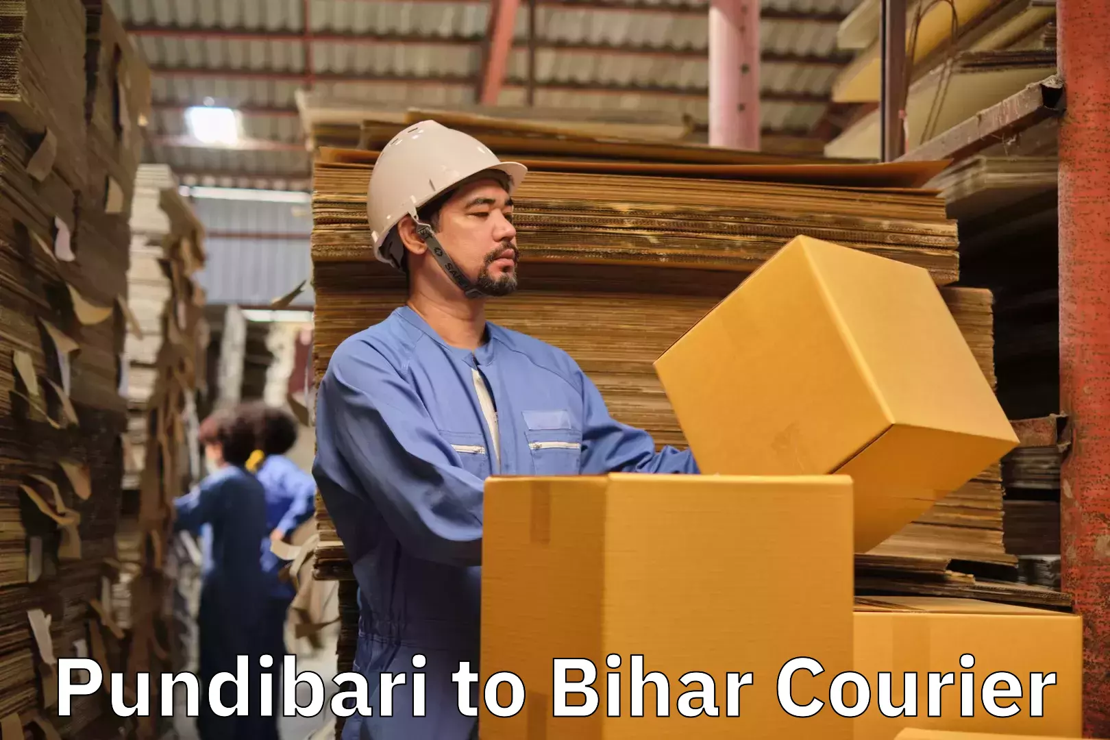 Skilled furniture movers Pundibari to Mohiuddin Nagar