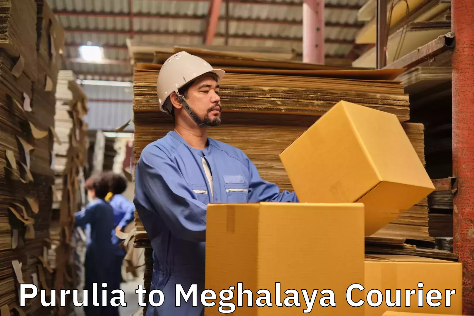 Furniture handling services in Purulia to Meghalaya