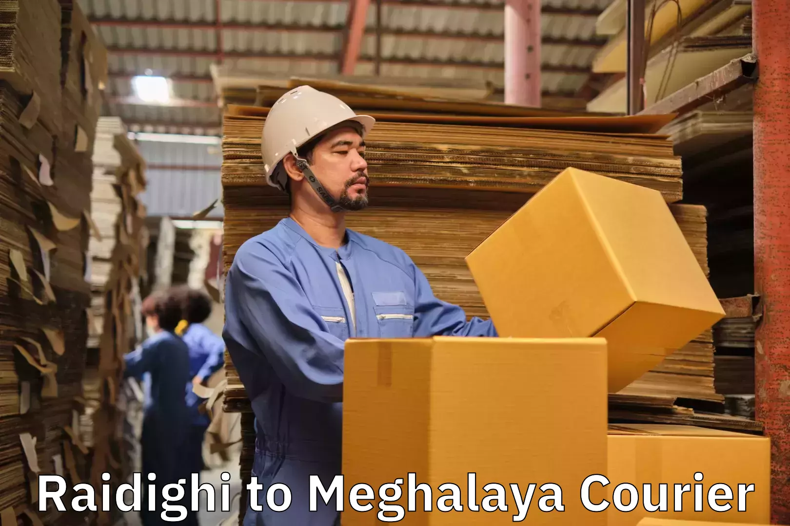 Efficient furniture transport Raidighi to Meghalaya