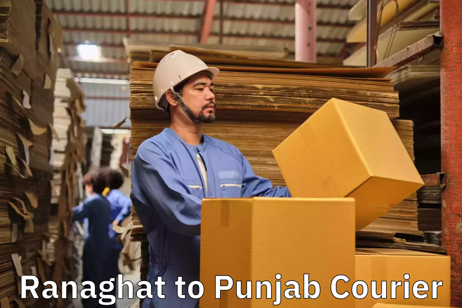 Furniture shipping services in Ranaghat to Pathankot