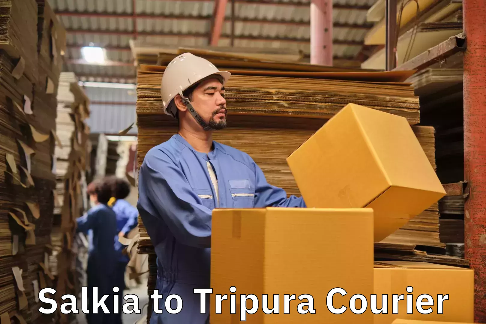 Moving and storage services Salkia to Tripura