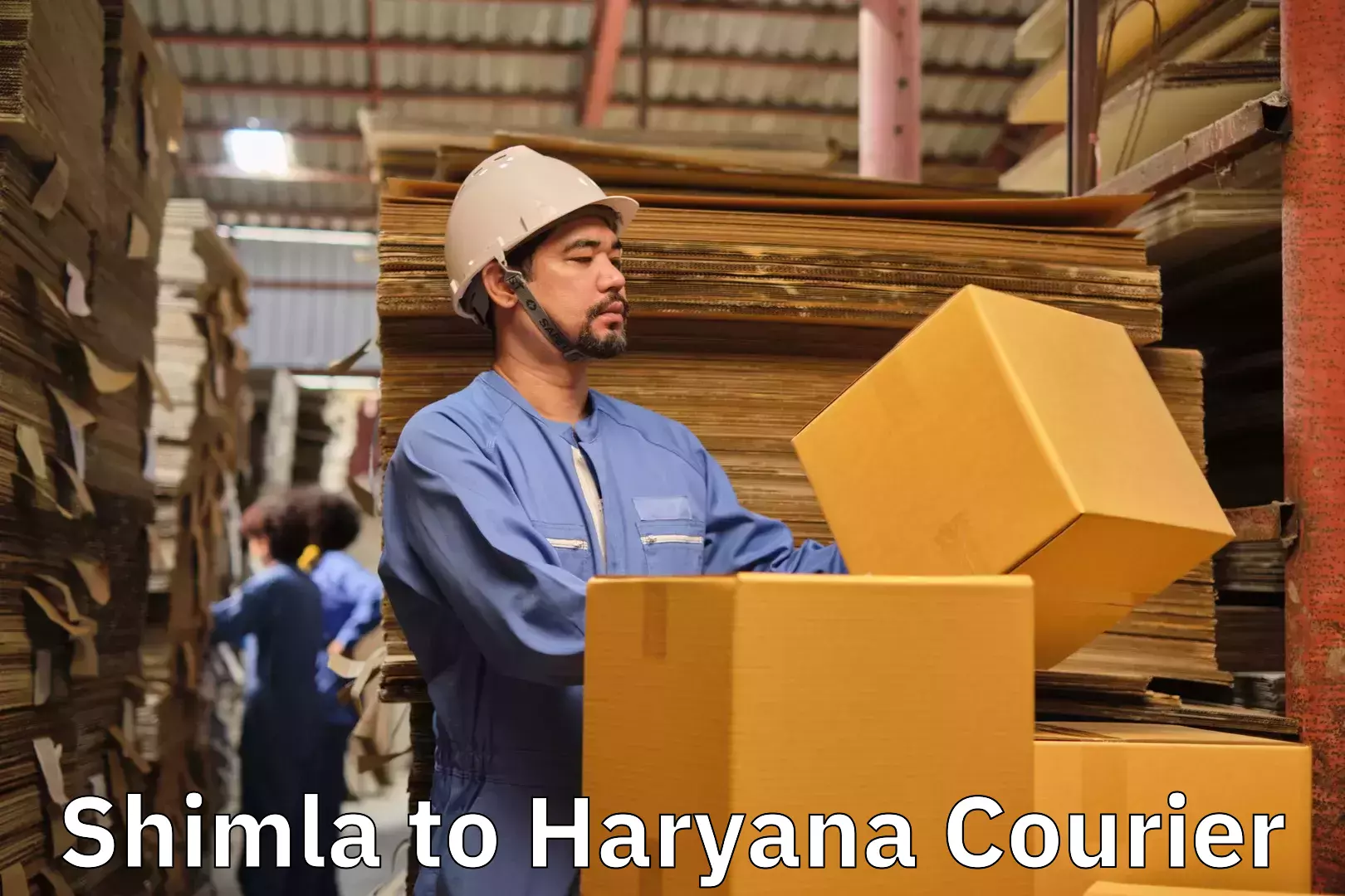 Household goods shipping Shimla to Bilaspur Haryana