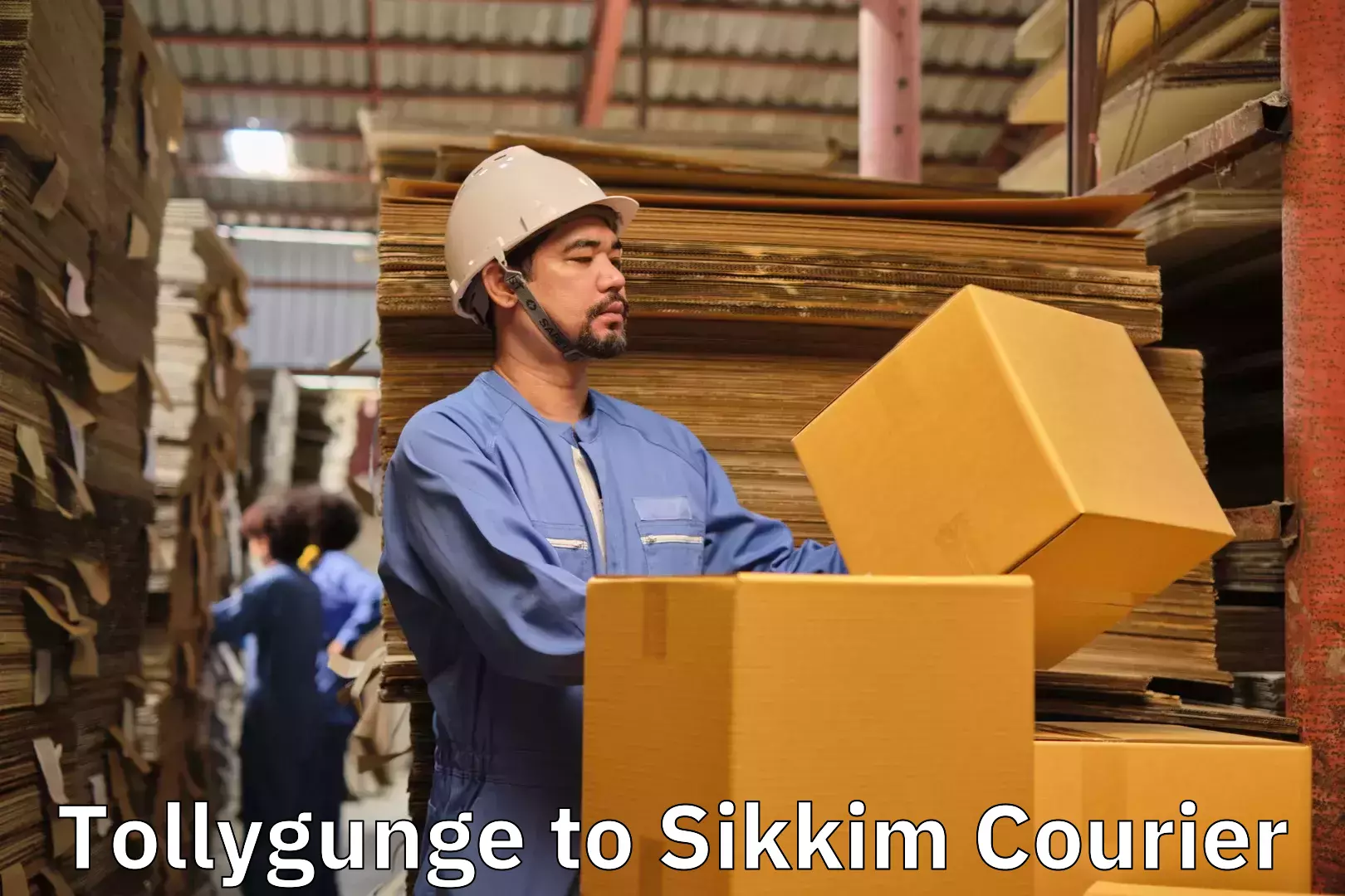 Furniture moving assistance Tollygunge to Sikkim