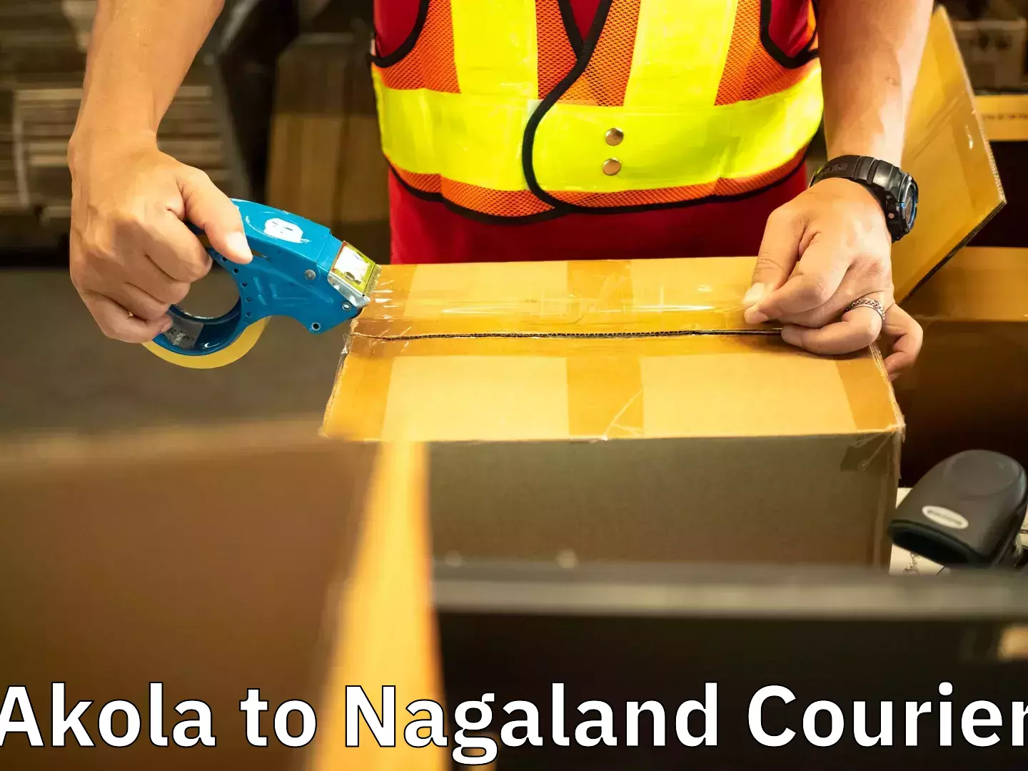 Dependable moving services Akola to Nagaland