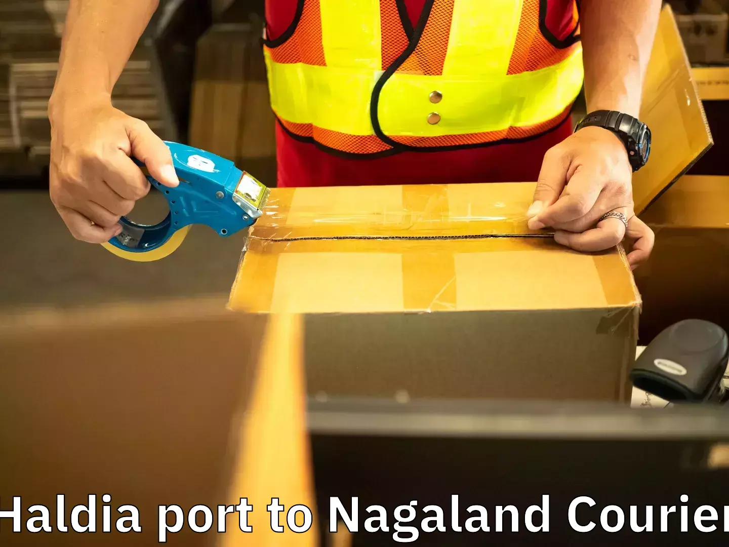 Furniture transport professionals Haldia port to Tuensang