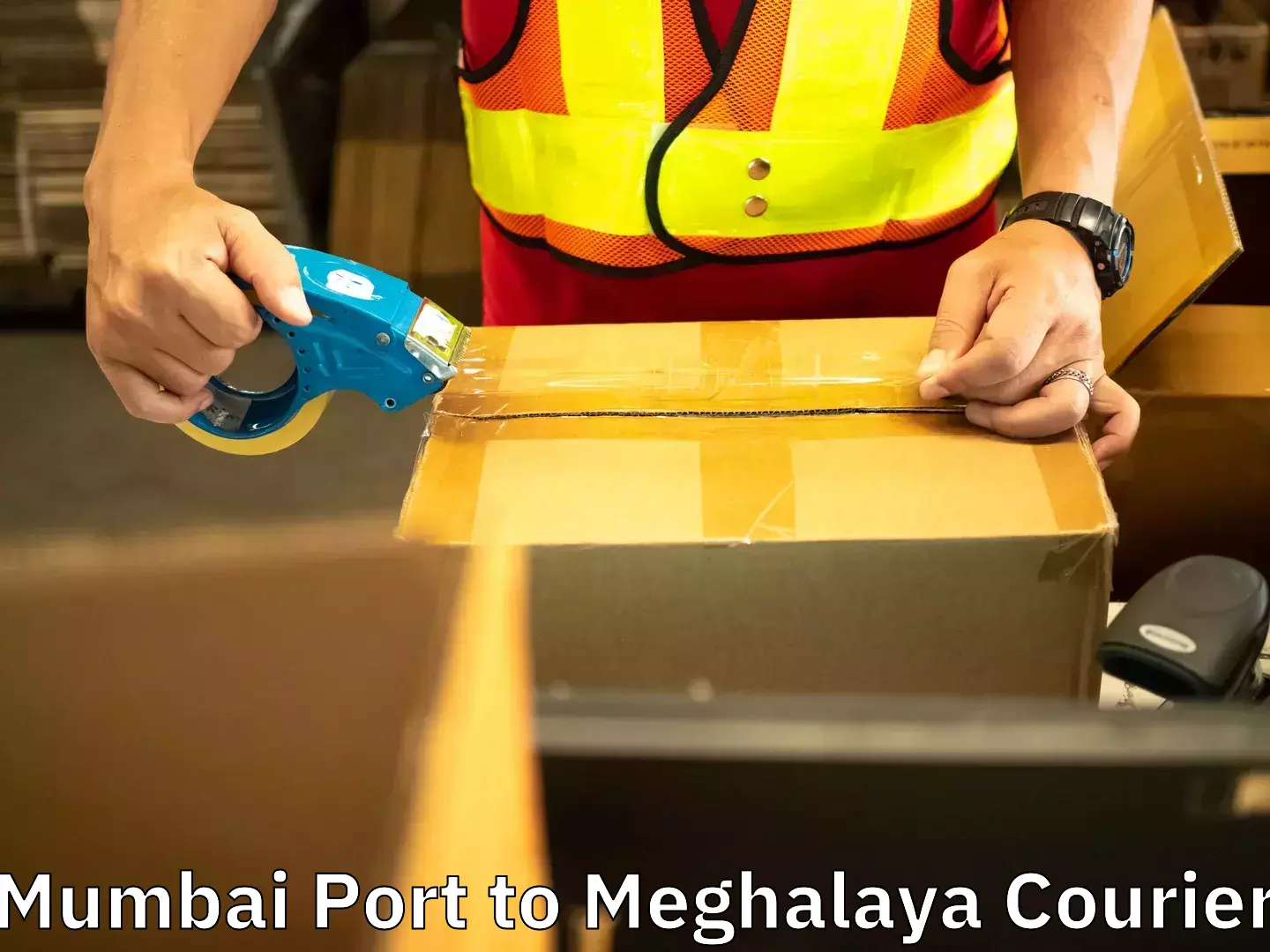 Efficient moving services Mumbai Port to Marshillong