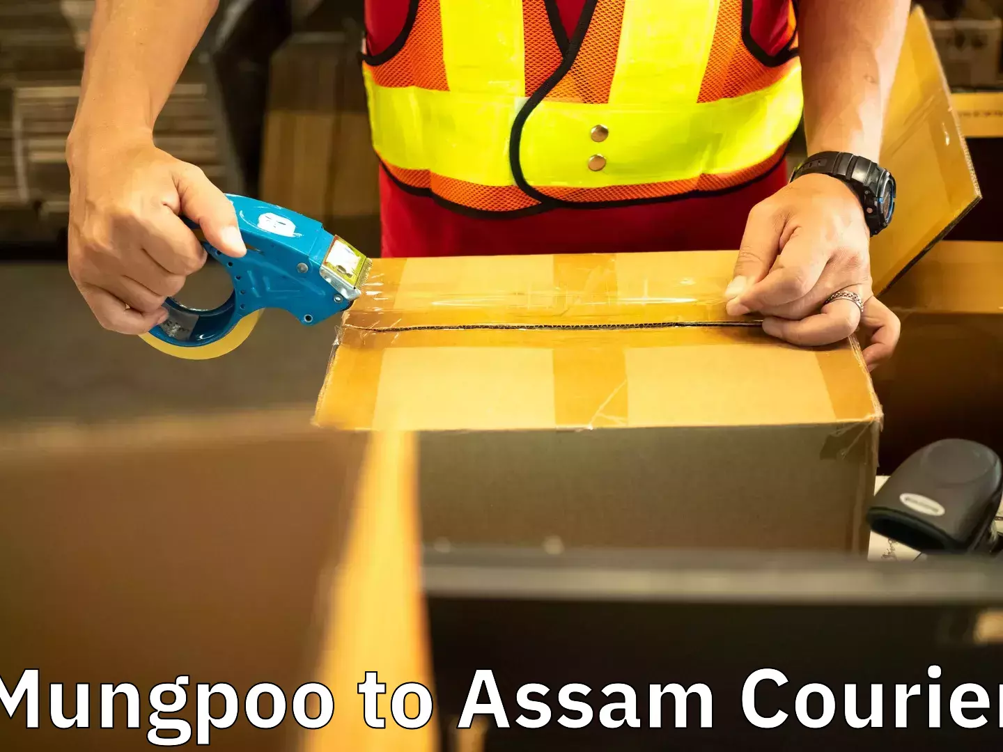 Moving service excellence Mungpoo to Assam